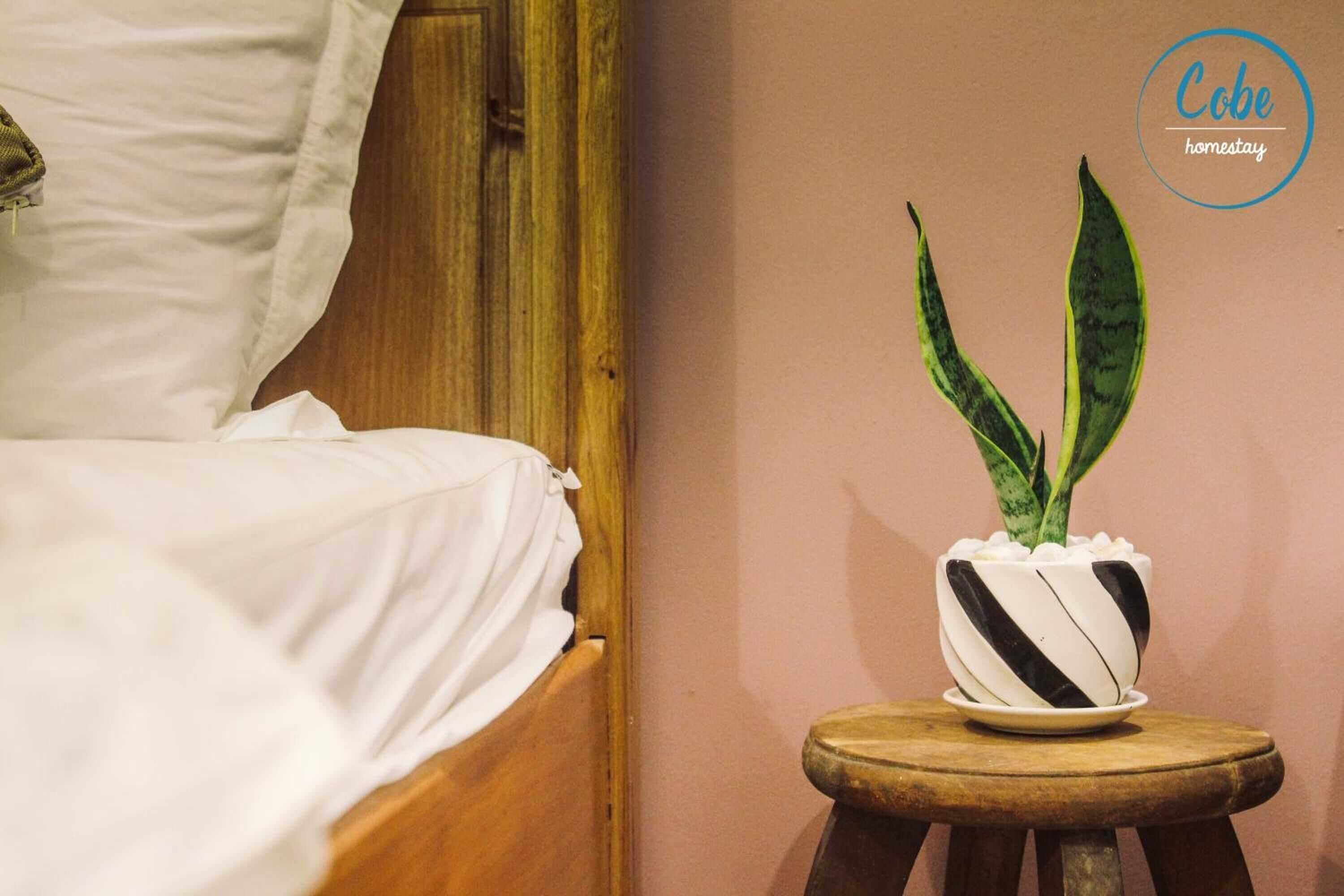 Gift card for Sông Suối Homestay Gift card for Sông Suối Homestay