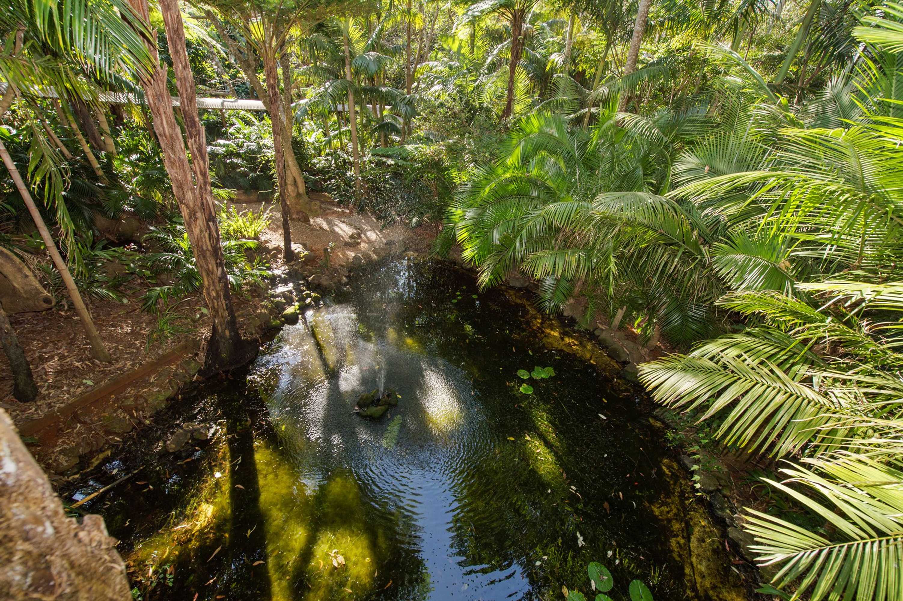 Gift card for Pethers Rainforest Retreat Gift card for Pethers Rainforest Retreat