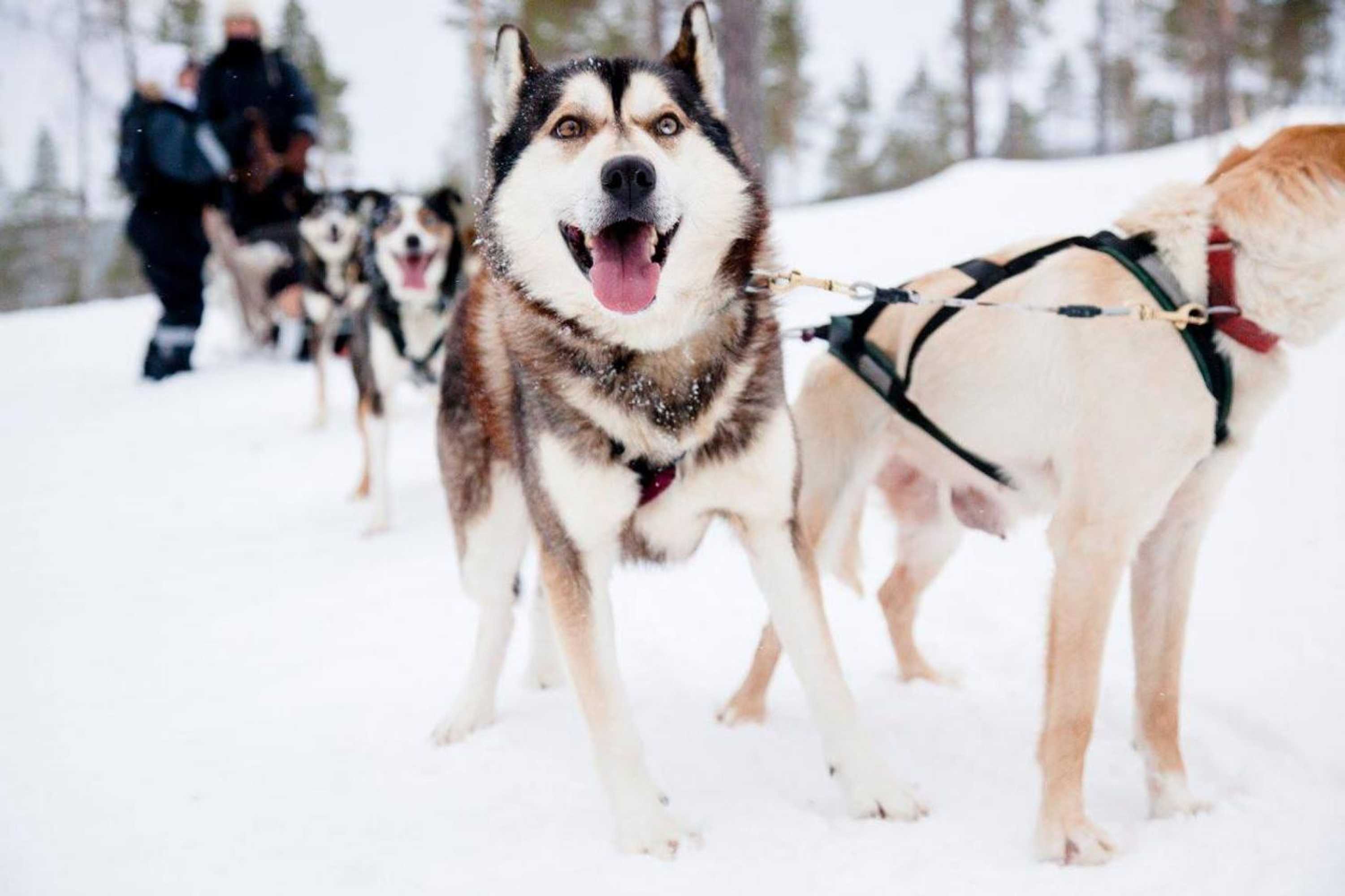 Gift card for Hideaway Cottage