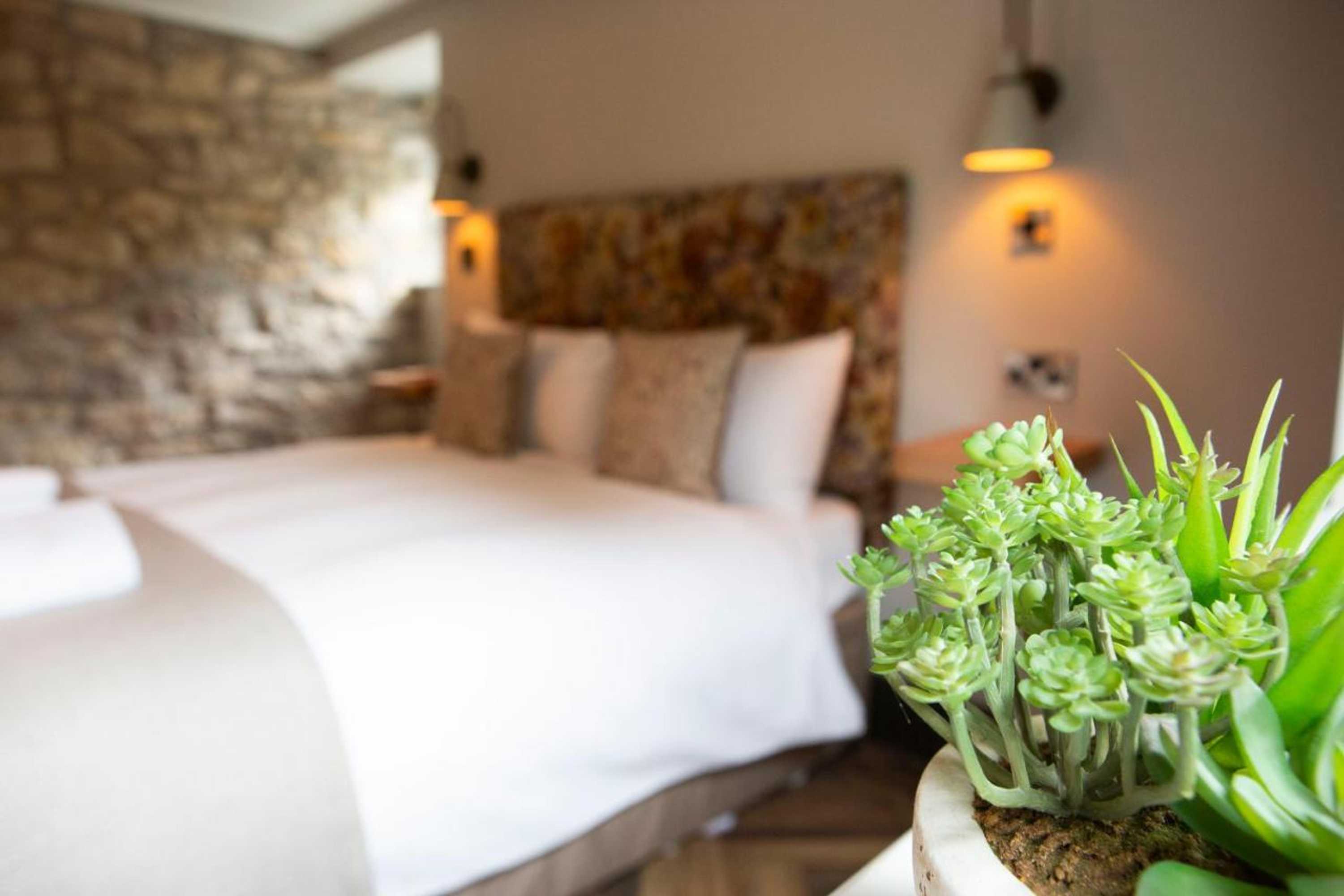 Gift card for The Square & Compass Inn