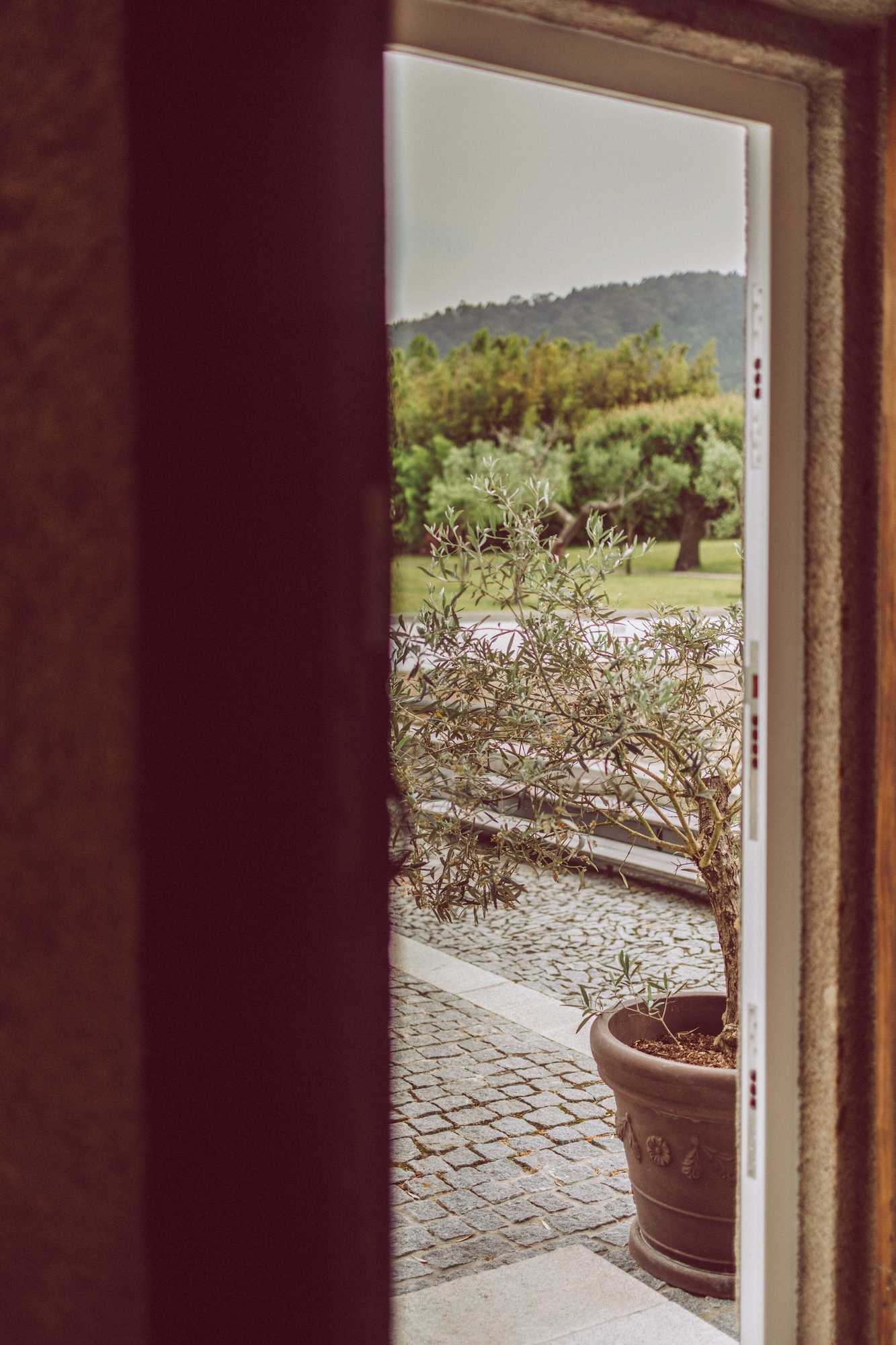 Gift card for Quinta Do Monteverde Gift card for Quinta Do Monteverde