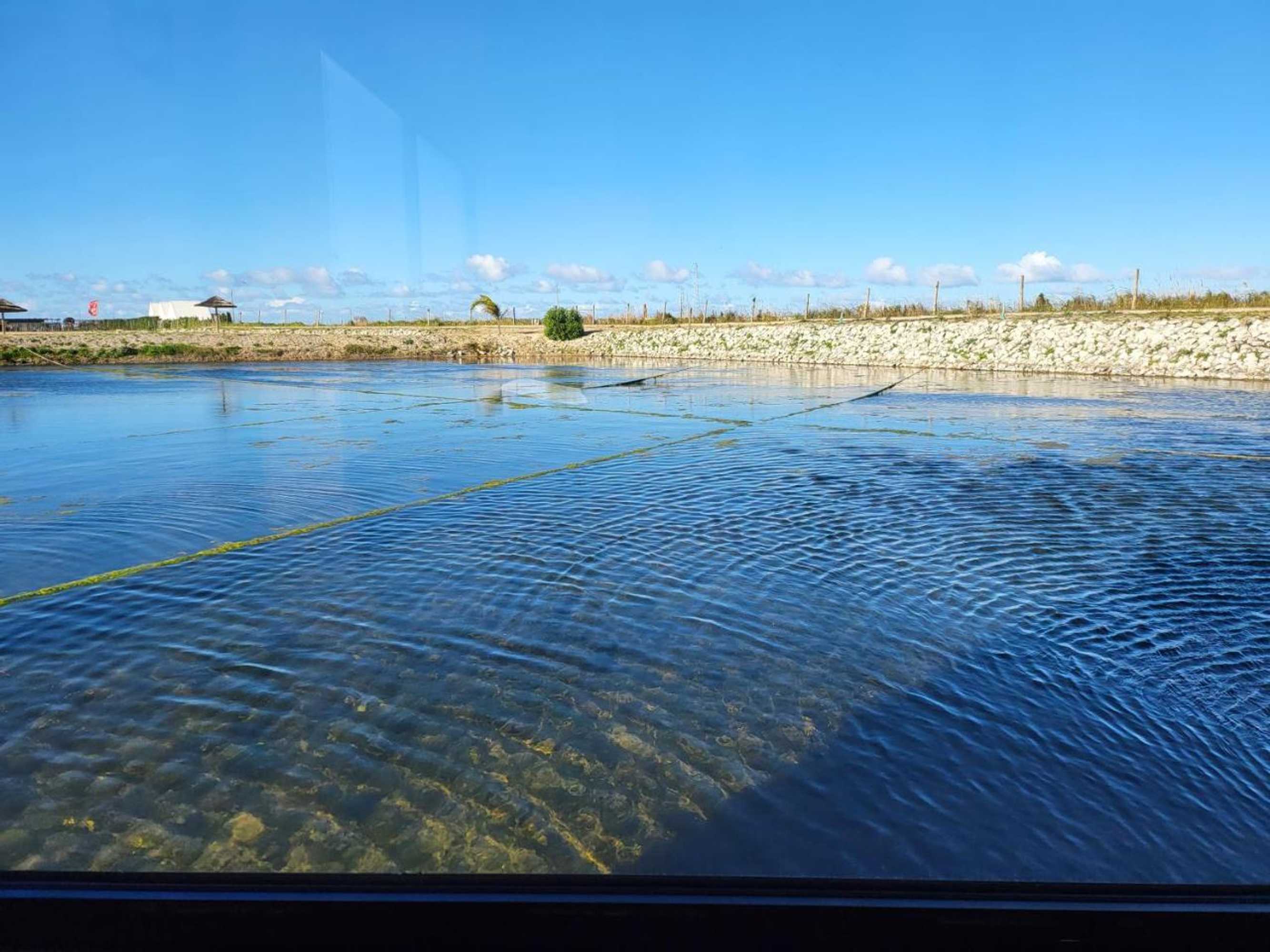 Gift card for Barcos Casa Aveiro