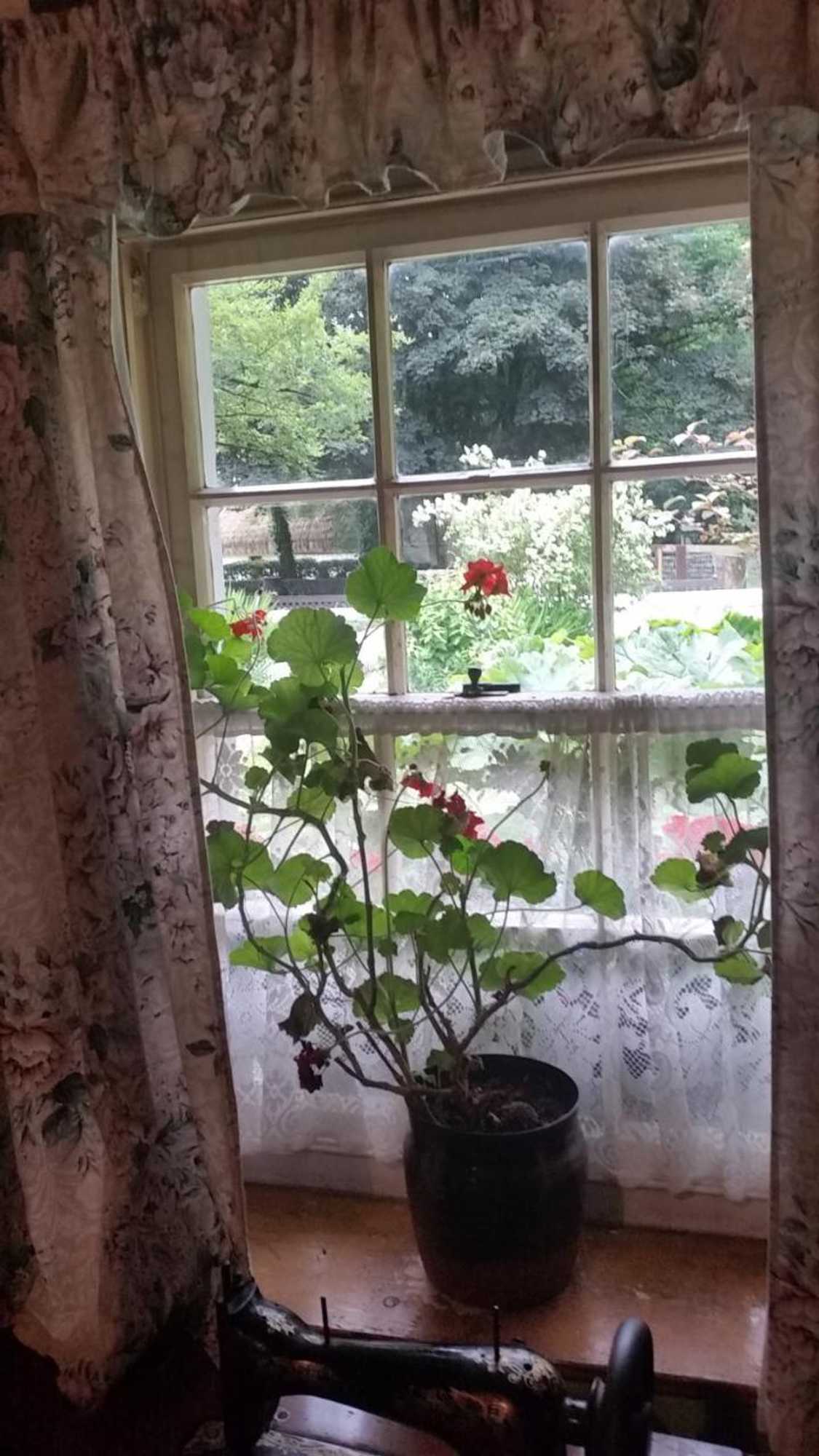 Gift card for Villa Berk en Heide