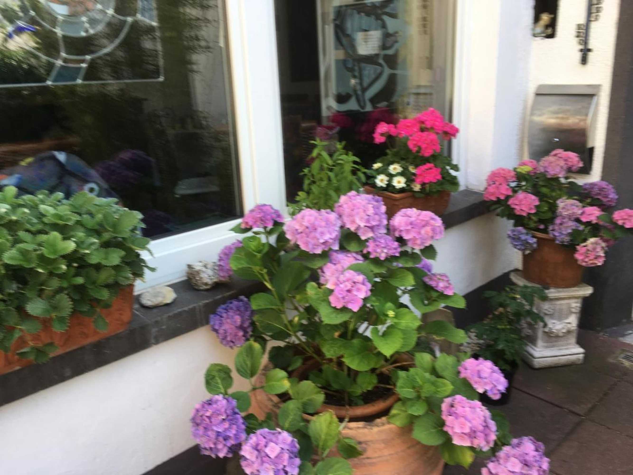 Gift card for Gaestehaus Klaus