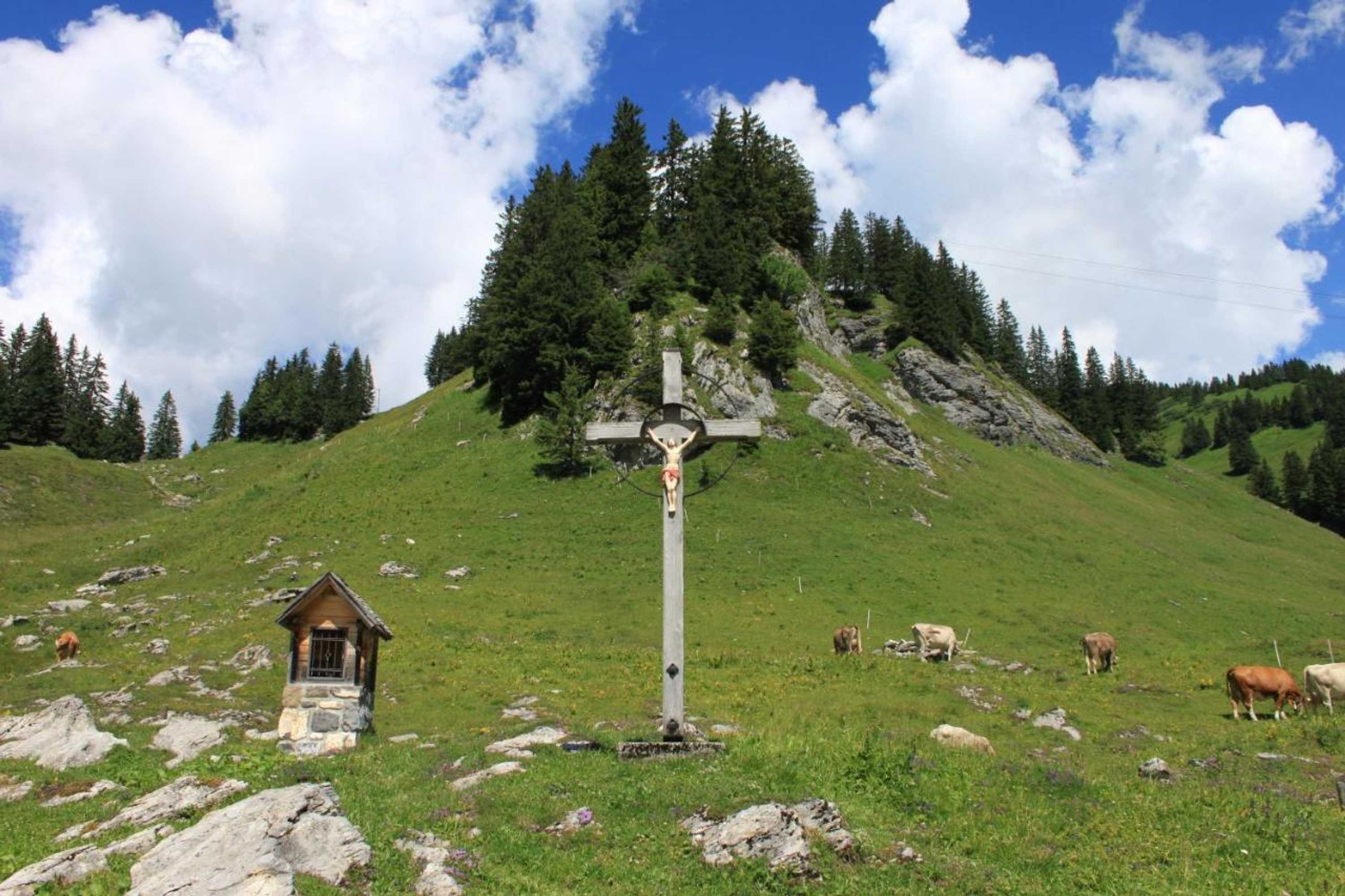 Gift card for Haus Matt