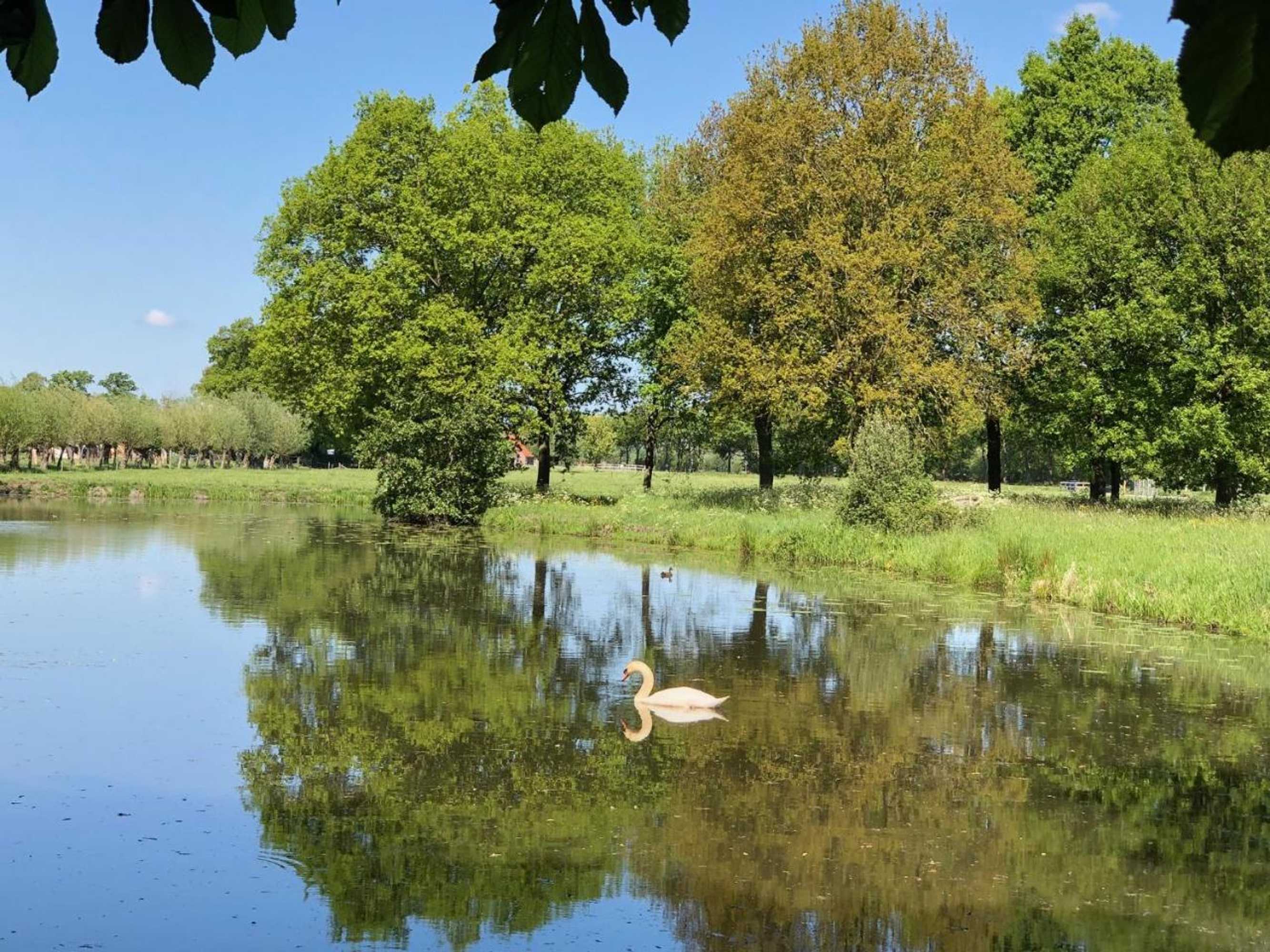 Gift card for Kasteel Sterkenburg