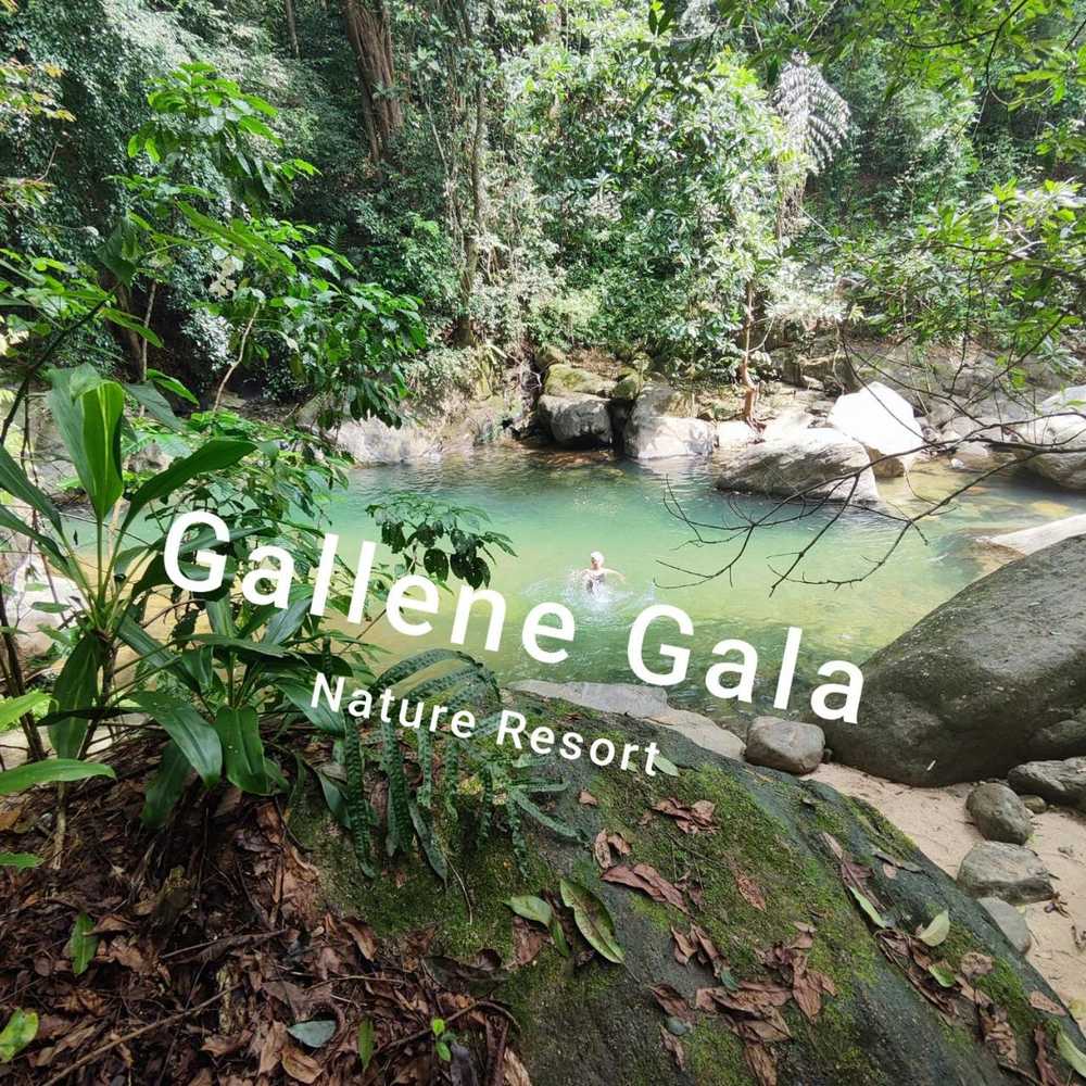 Gift card for Gallene Gala Nature Resort