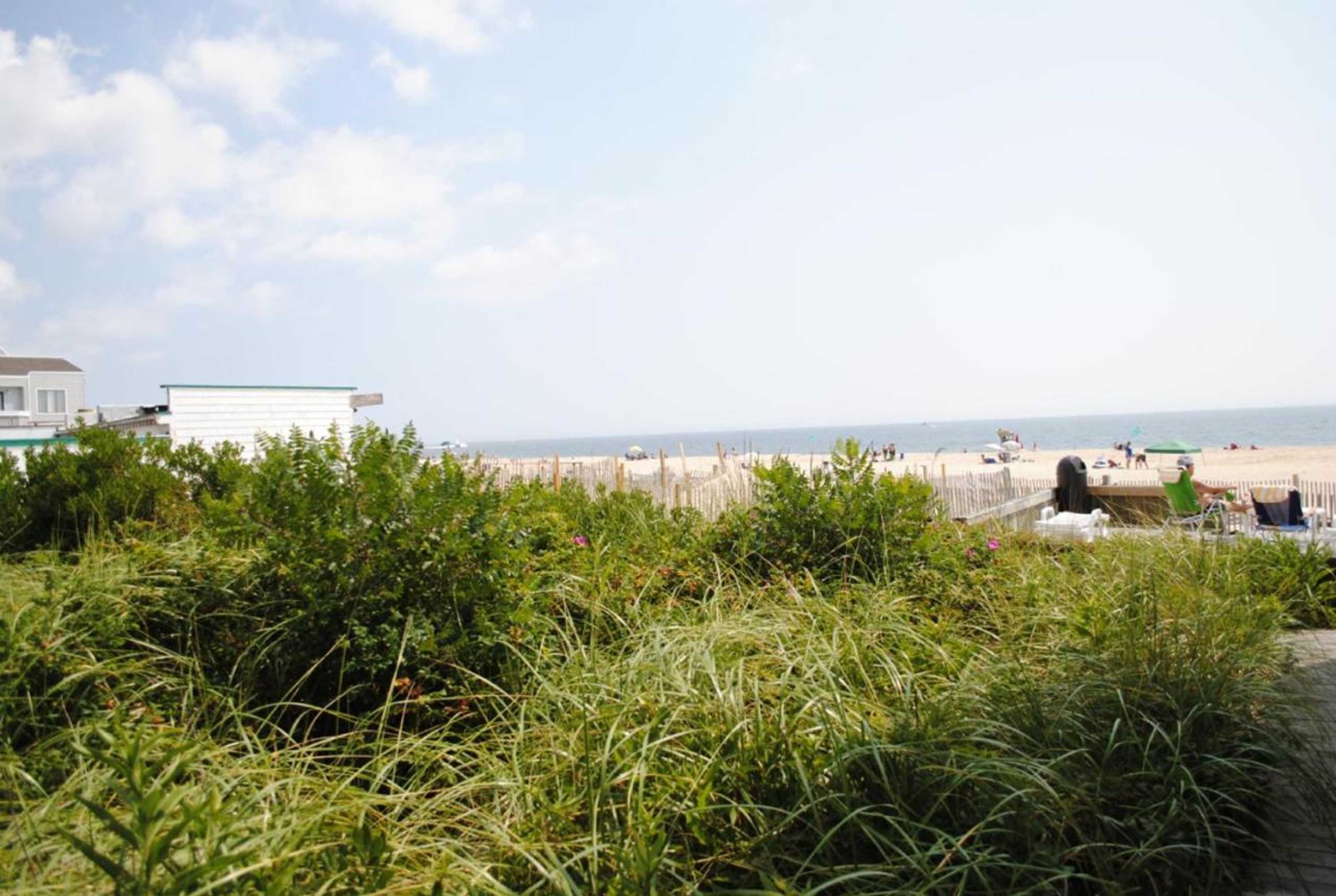 Gift card for Windswept Motel