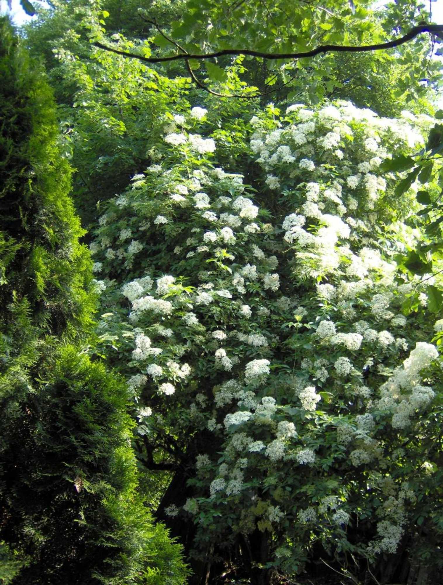 Gift card for B&b Het Uilennest