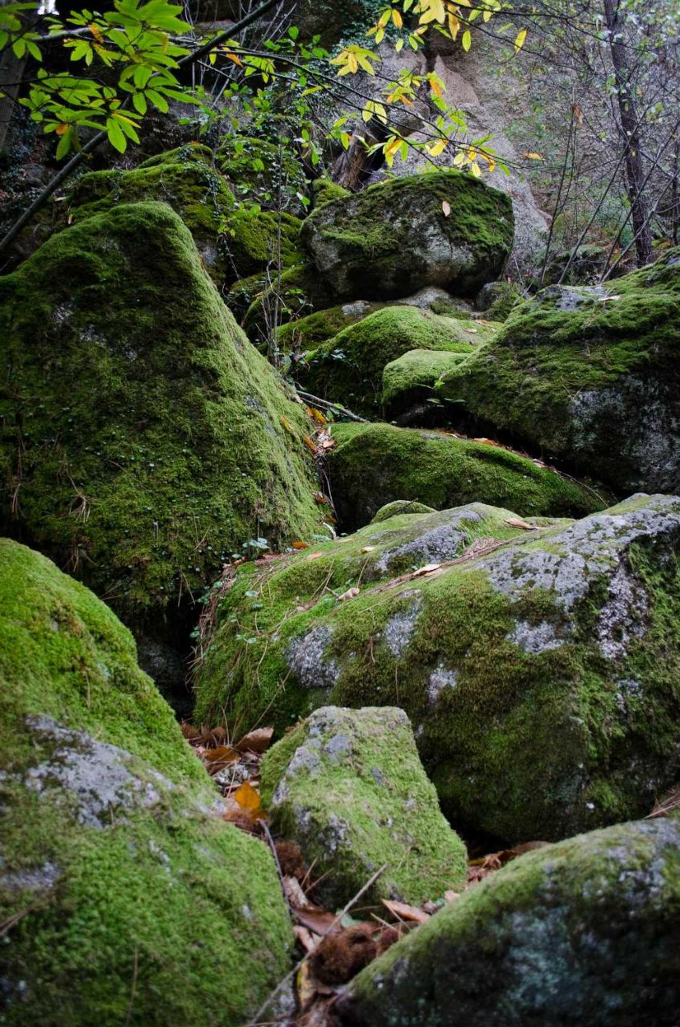 Gift card for Casas do Soito