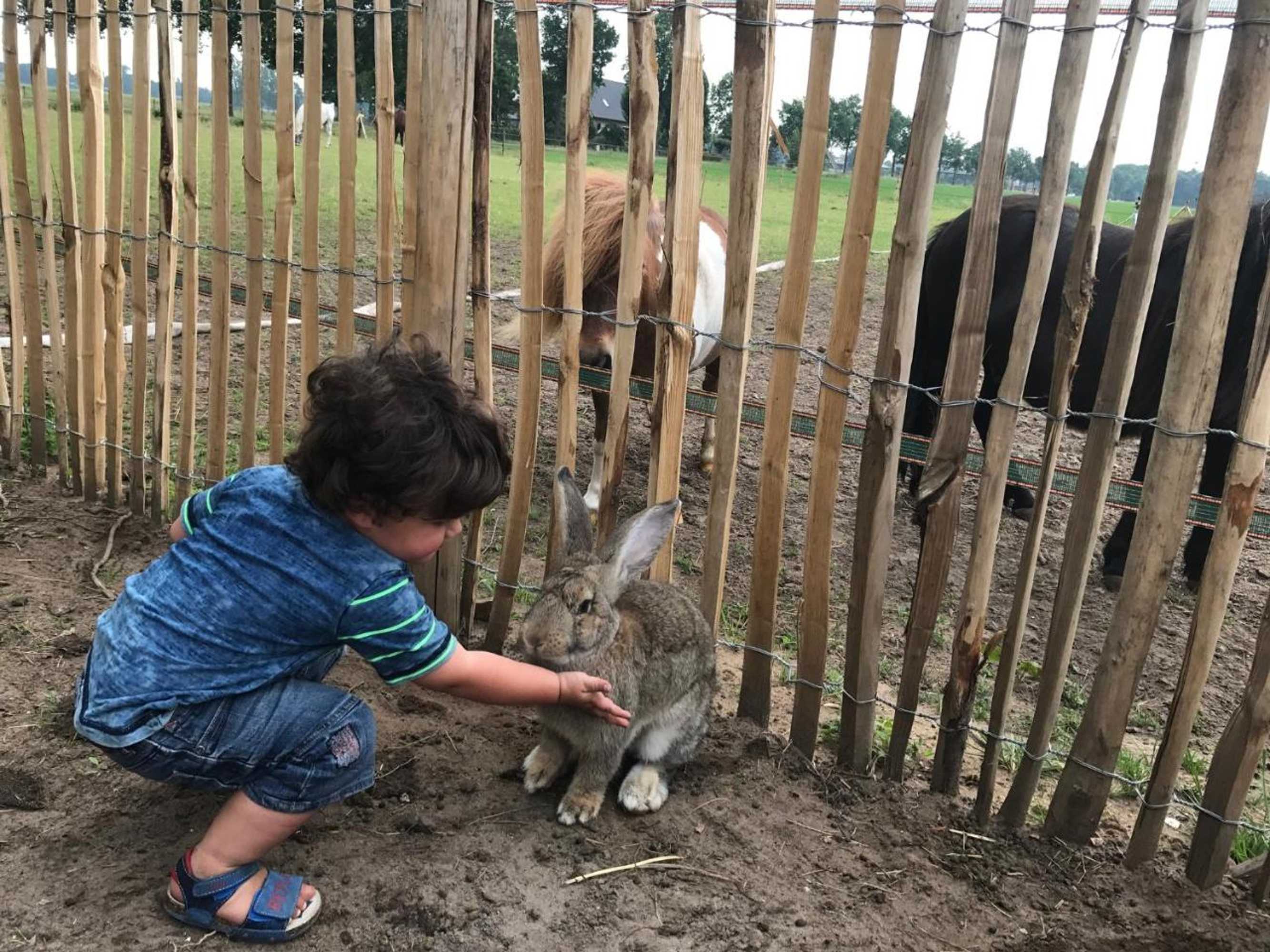 Gift card for Bed & Breakfast de Zandhoef