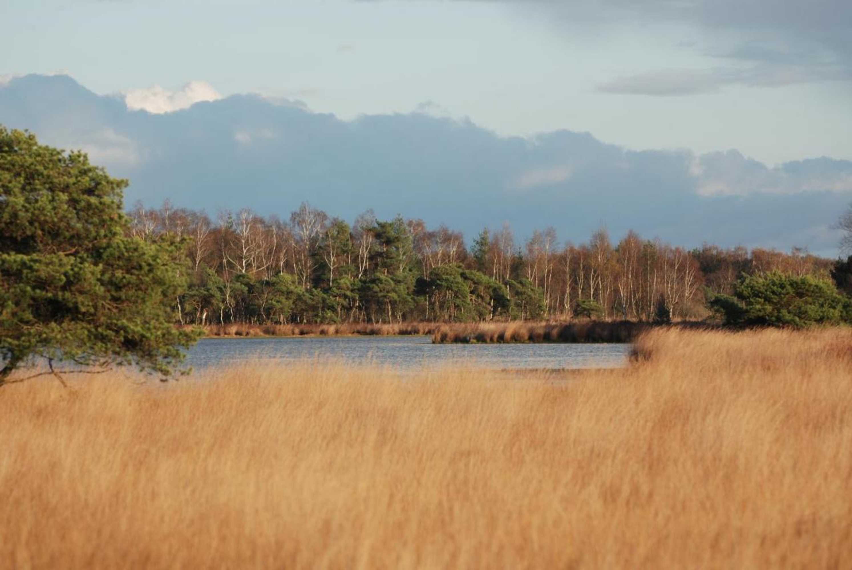Gift card for Brouwerij Hotel De Gouden Leeuw