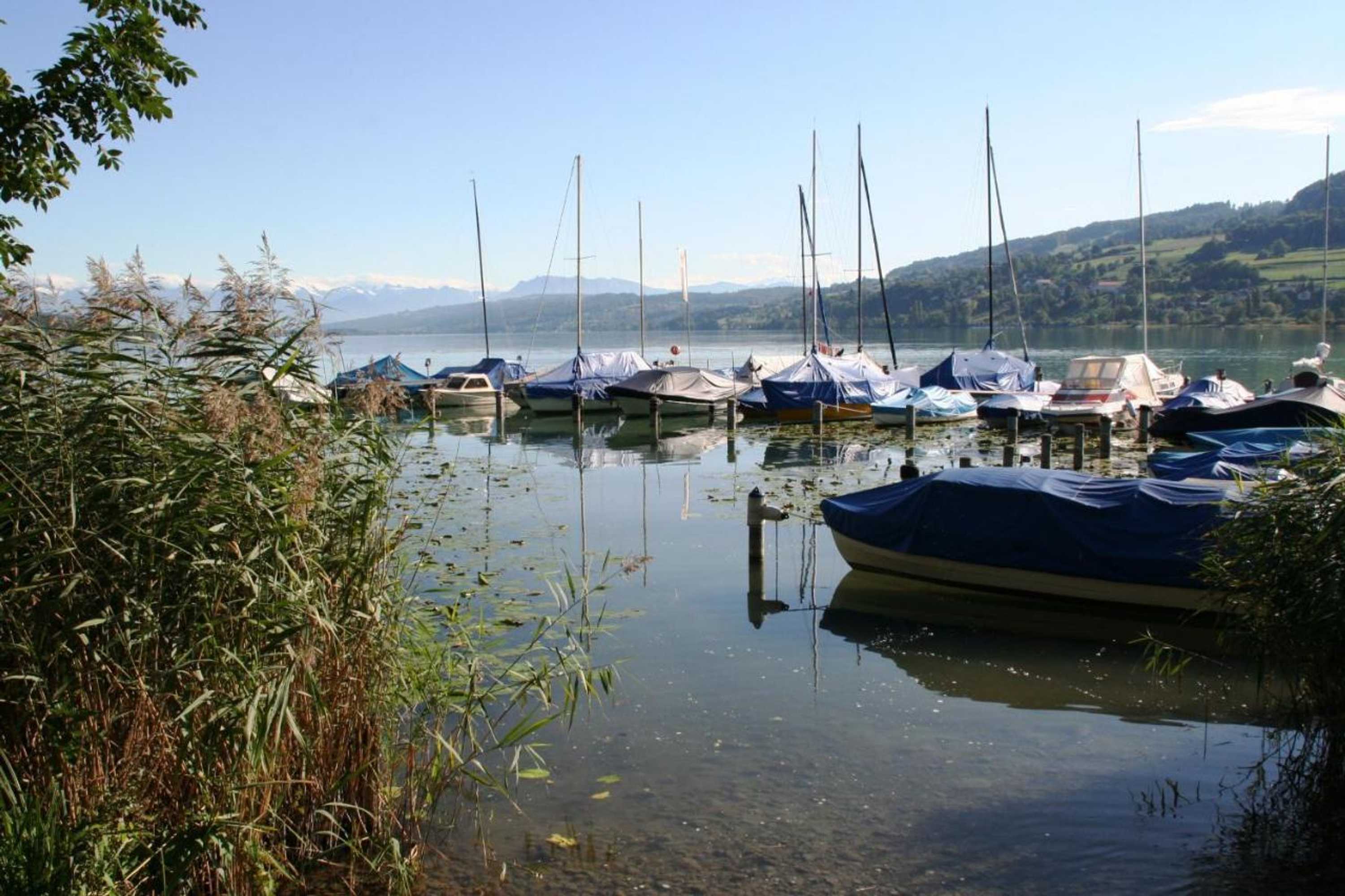 Gift card for Seehotel Delphin