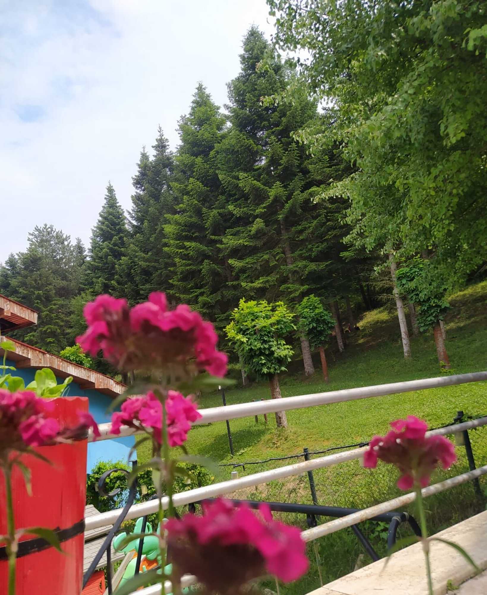 Gift card for Bolu Yildiz Hotel Gift card for Bolu Yildiz Hotel