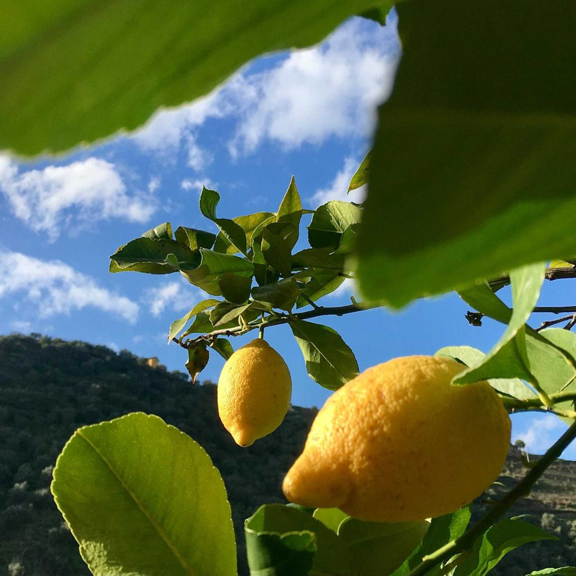 Gift card for Hostel Douro Backpackers