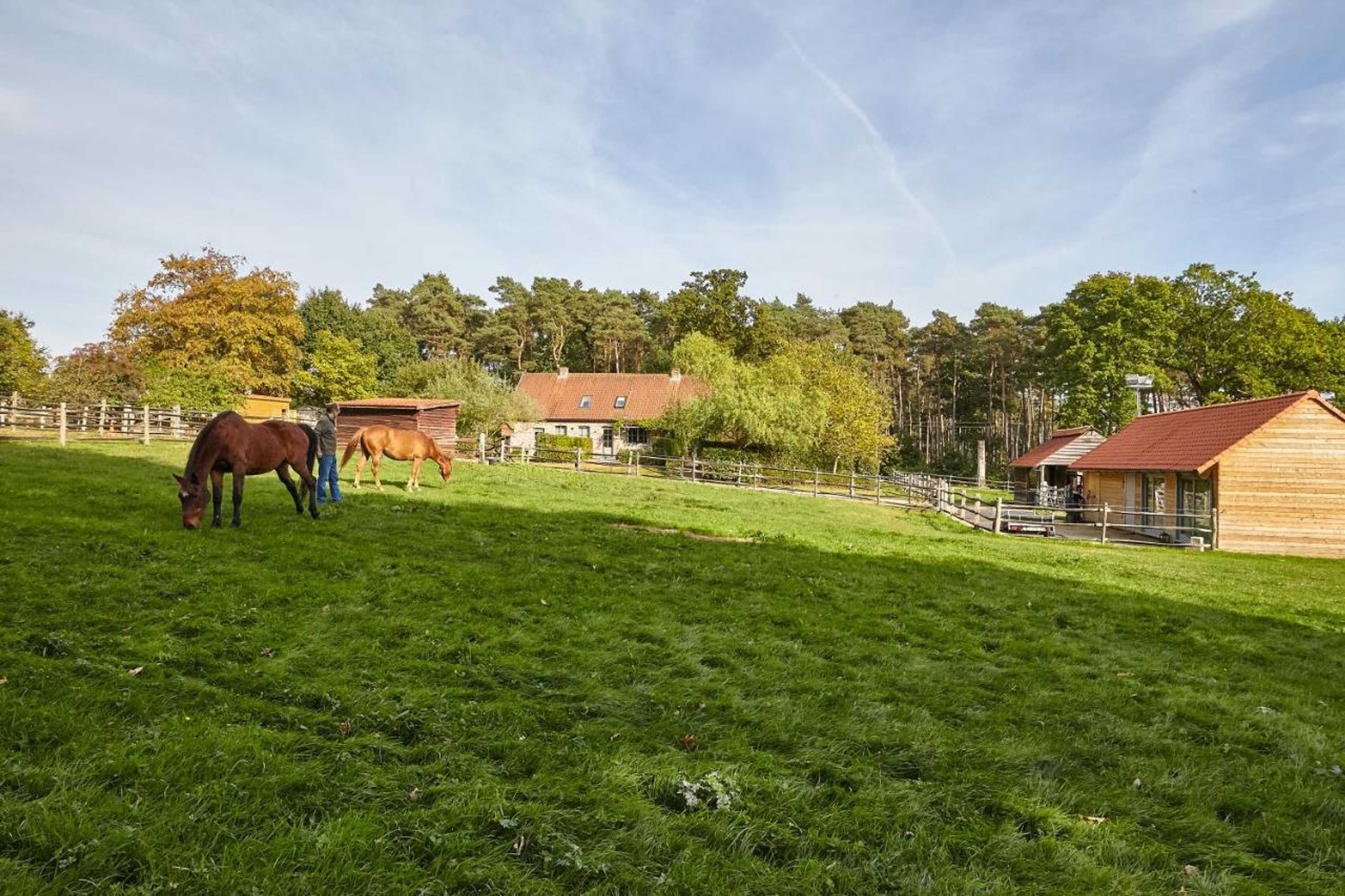 Gift card for B&b Zinnen en Minnen