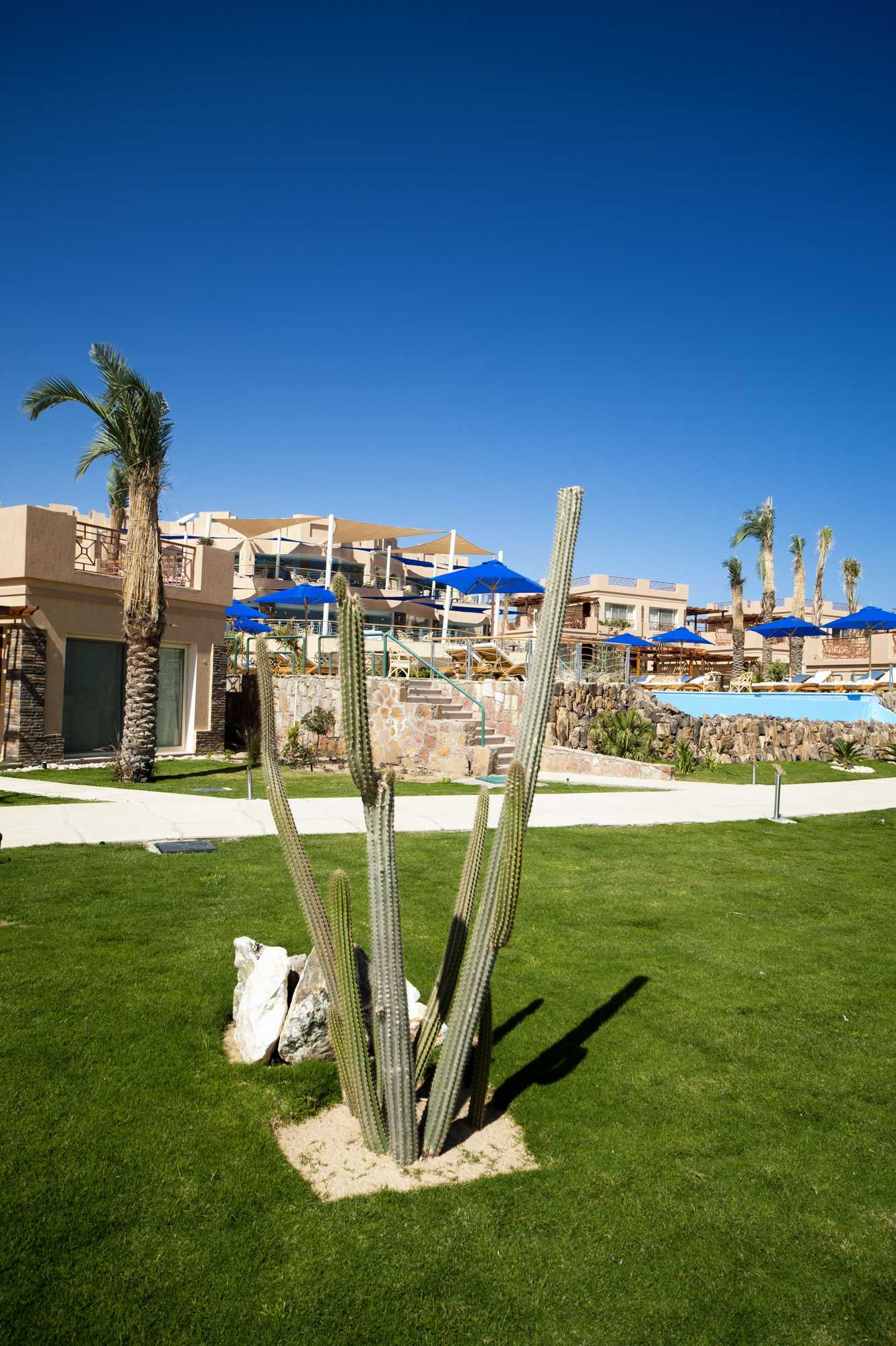 Gift card for Shams Prestige Abu Soma Resort - All Inclusive Gift card for Shams Prestige Abu Soma Resort - All Inclusive