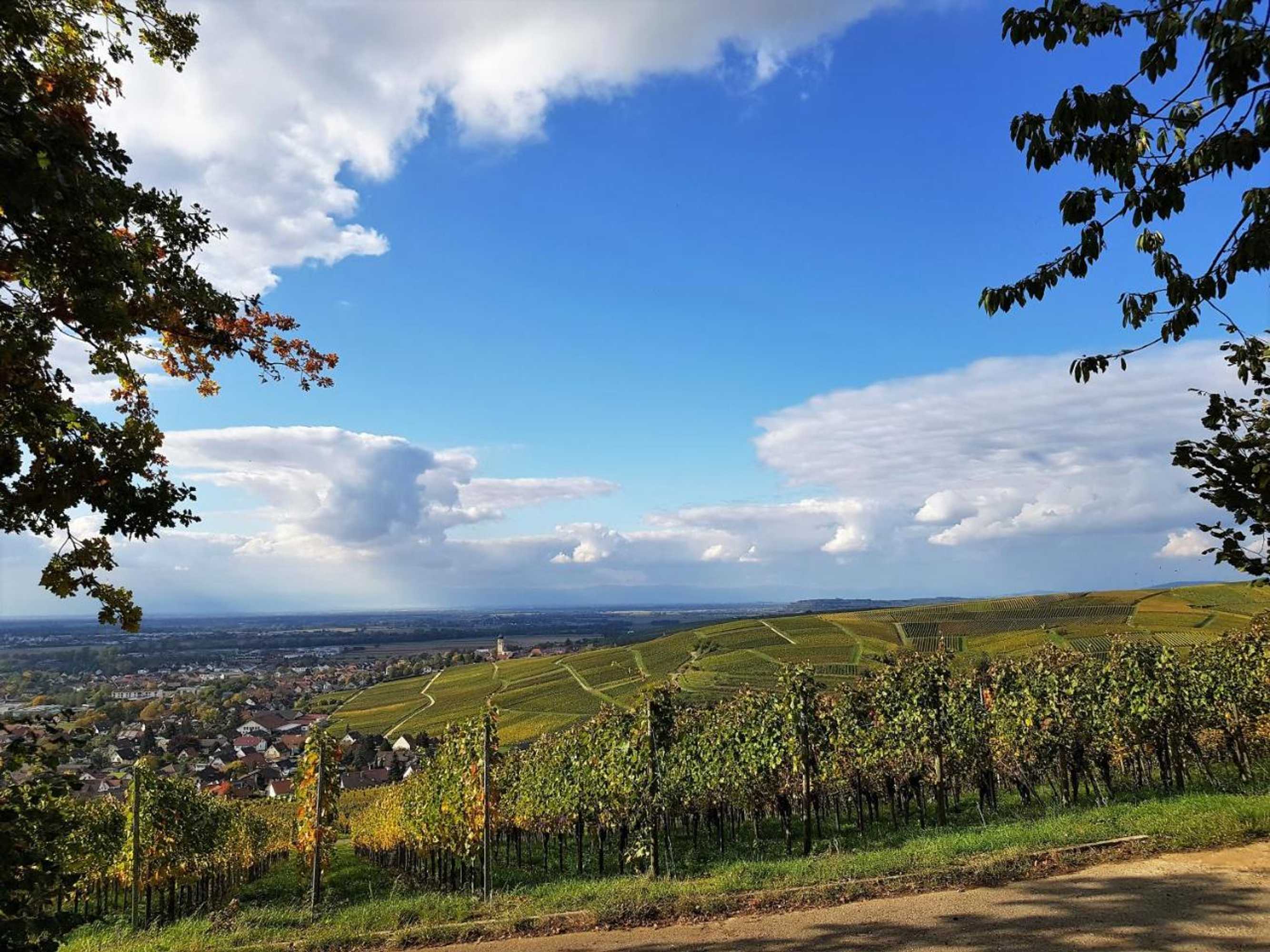 Gift card for Apart Hotel Freiburg