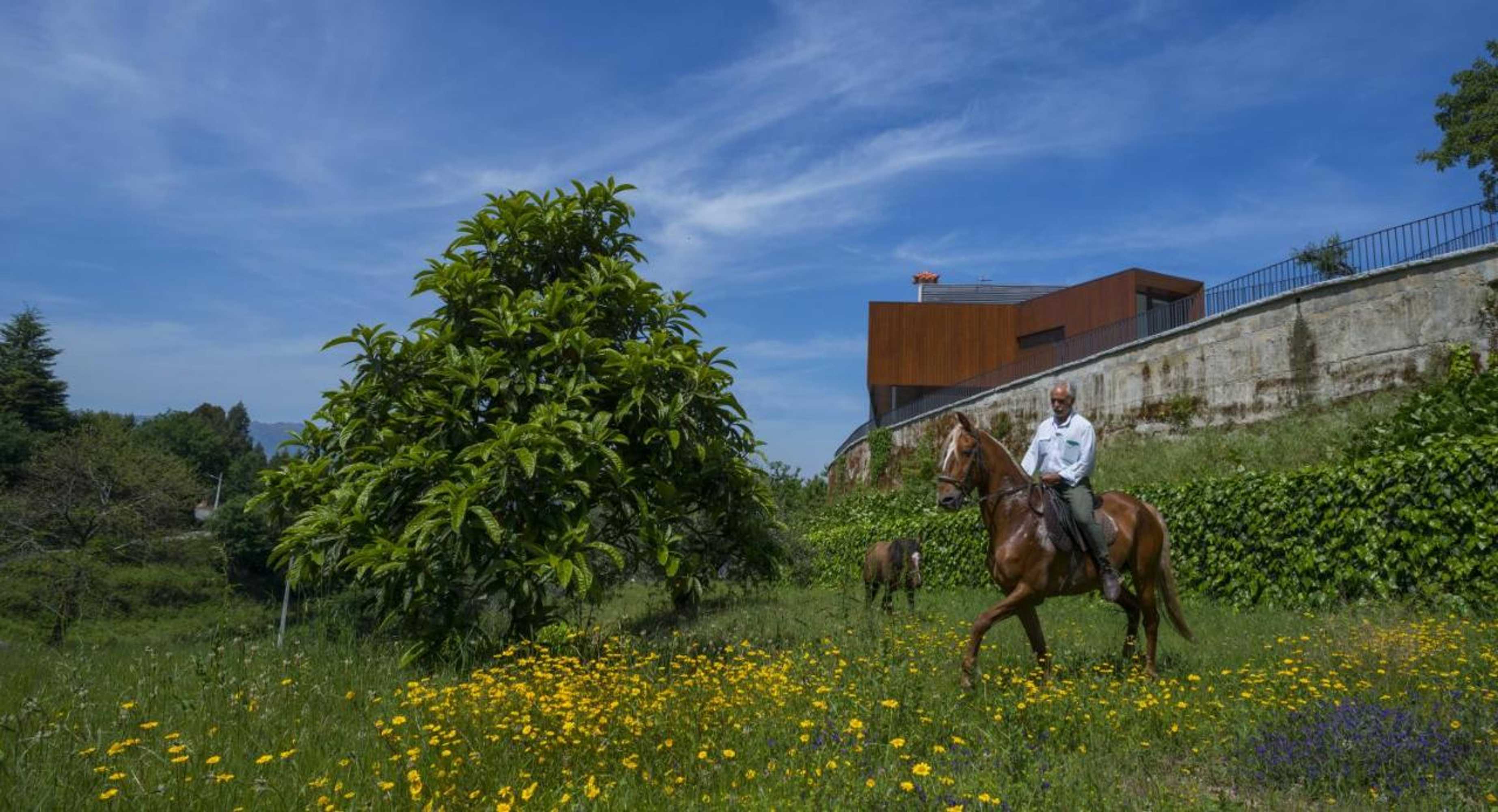 Gift card for Quinta do Fontelo