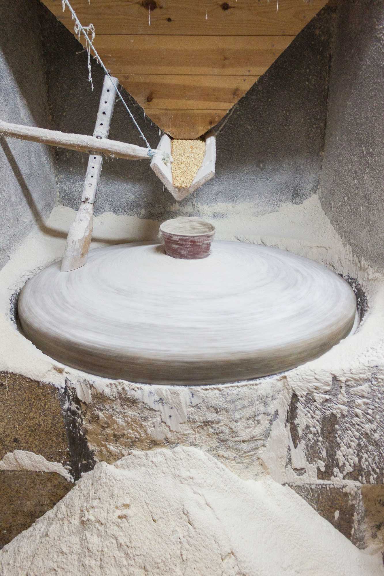 Gift card for Casa Moinho da Mouta Gift card for Casa Moinho da Mouta