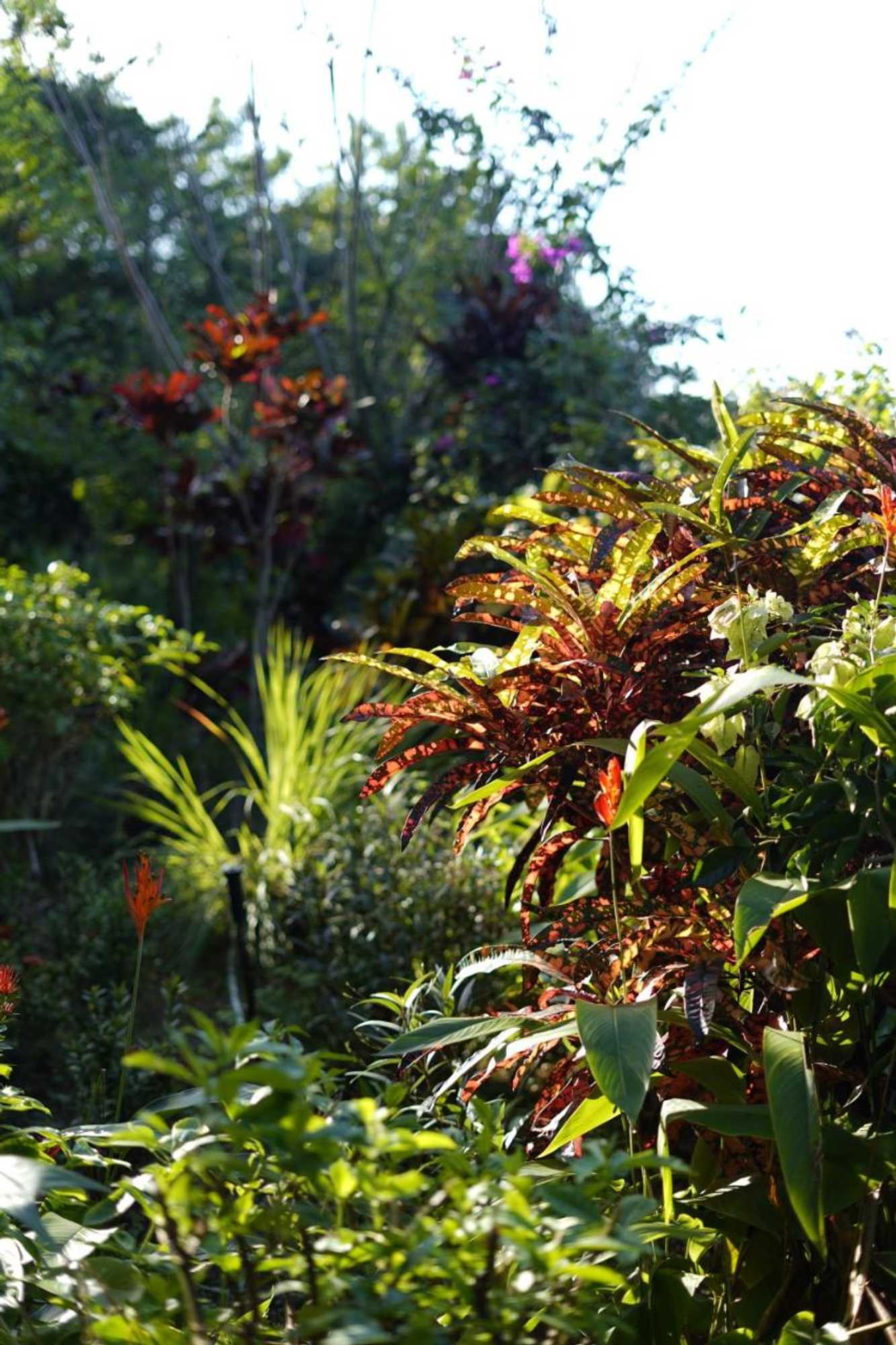 Gift card for Casa Andalucia