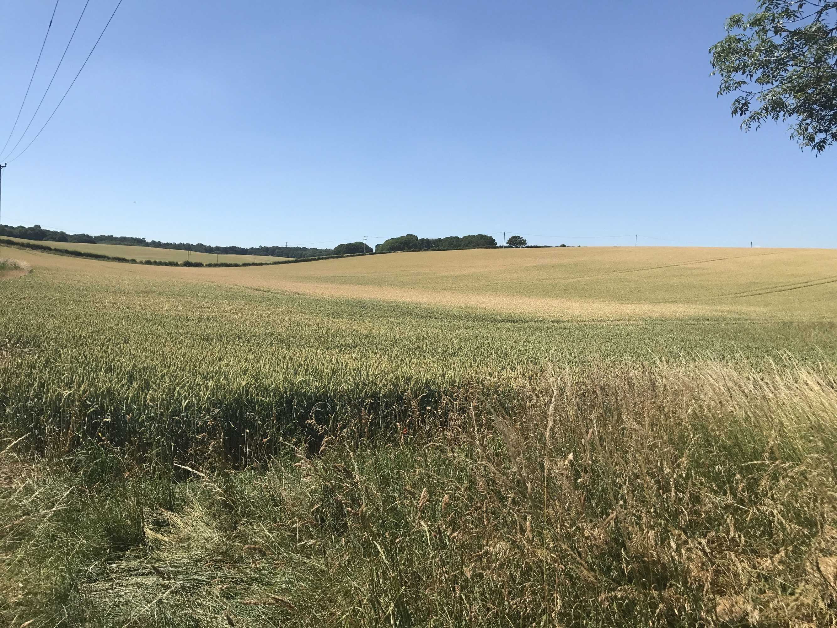 Gift card for The Bell at Boxford