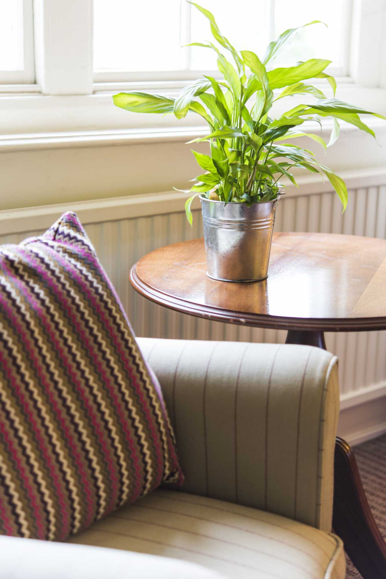 Gift card for Luttrell Arms Hotel