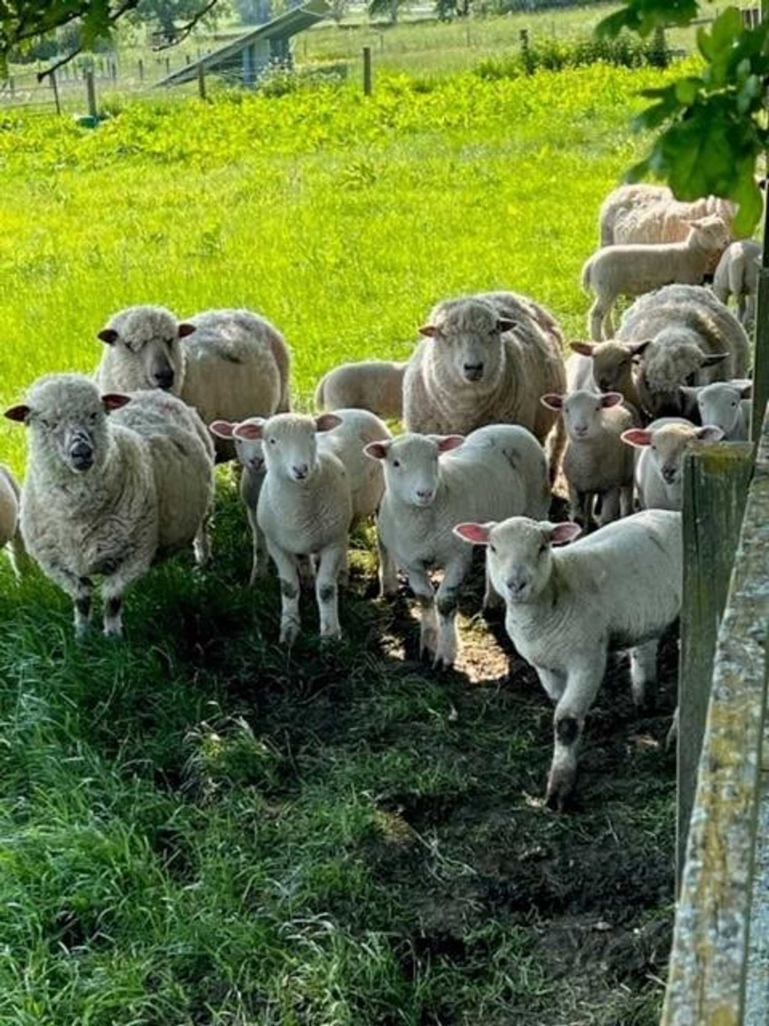 Gift card for The Coppleridge Inn