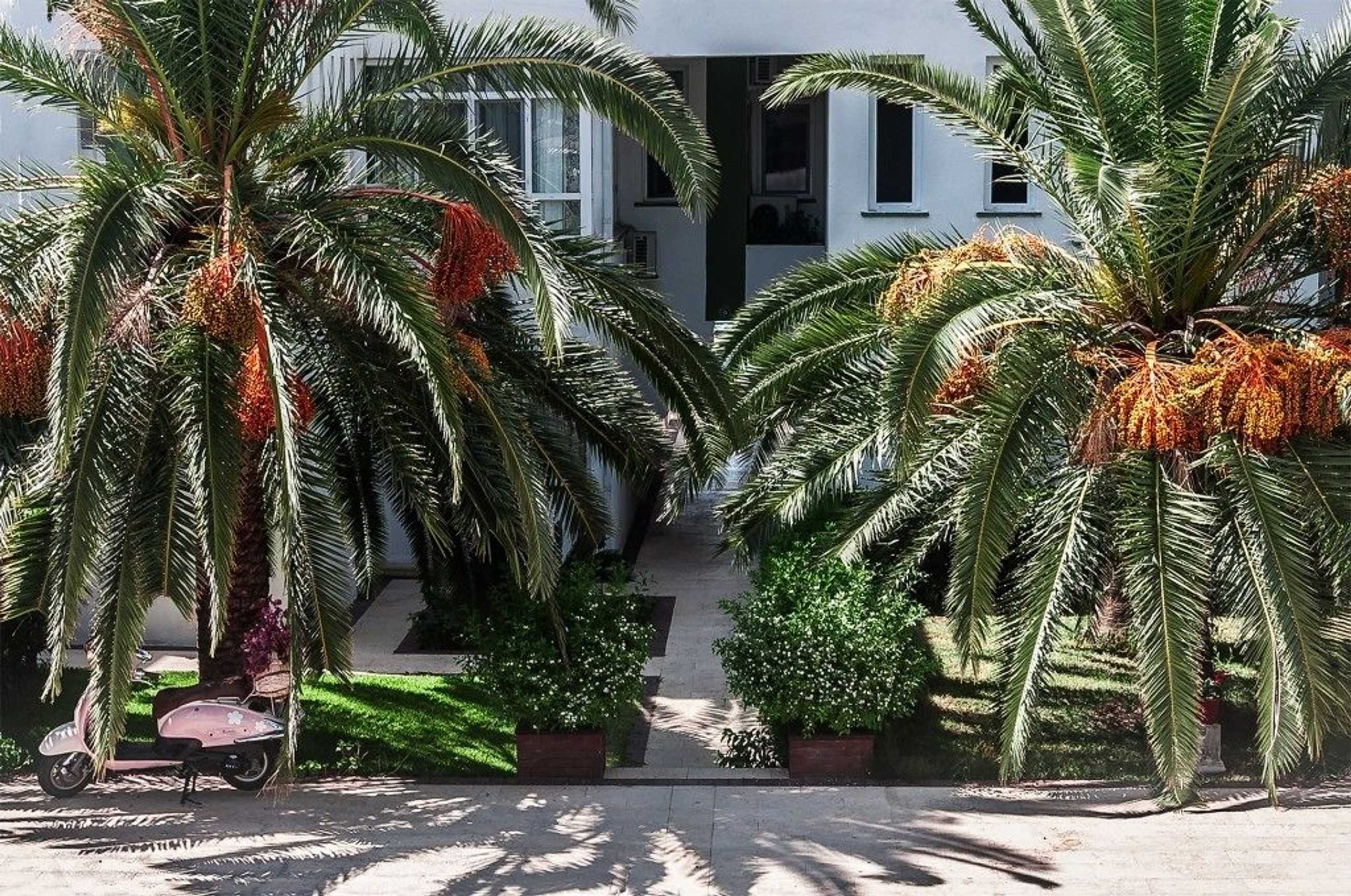 Gift card for Hotel Palm Beach Arsuz Gift card for Hotel Palm Beach Arsuz