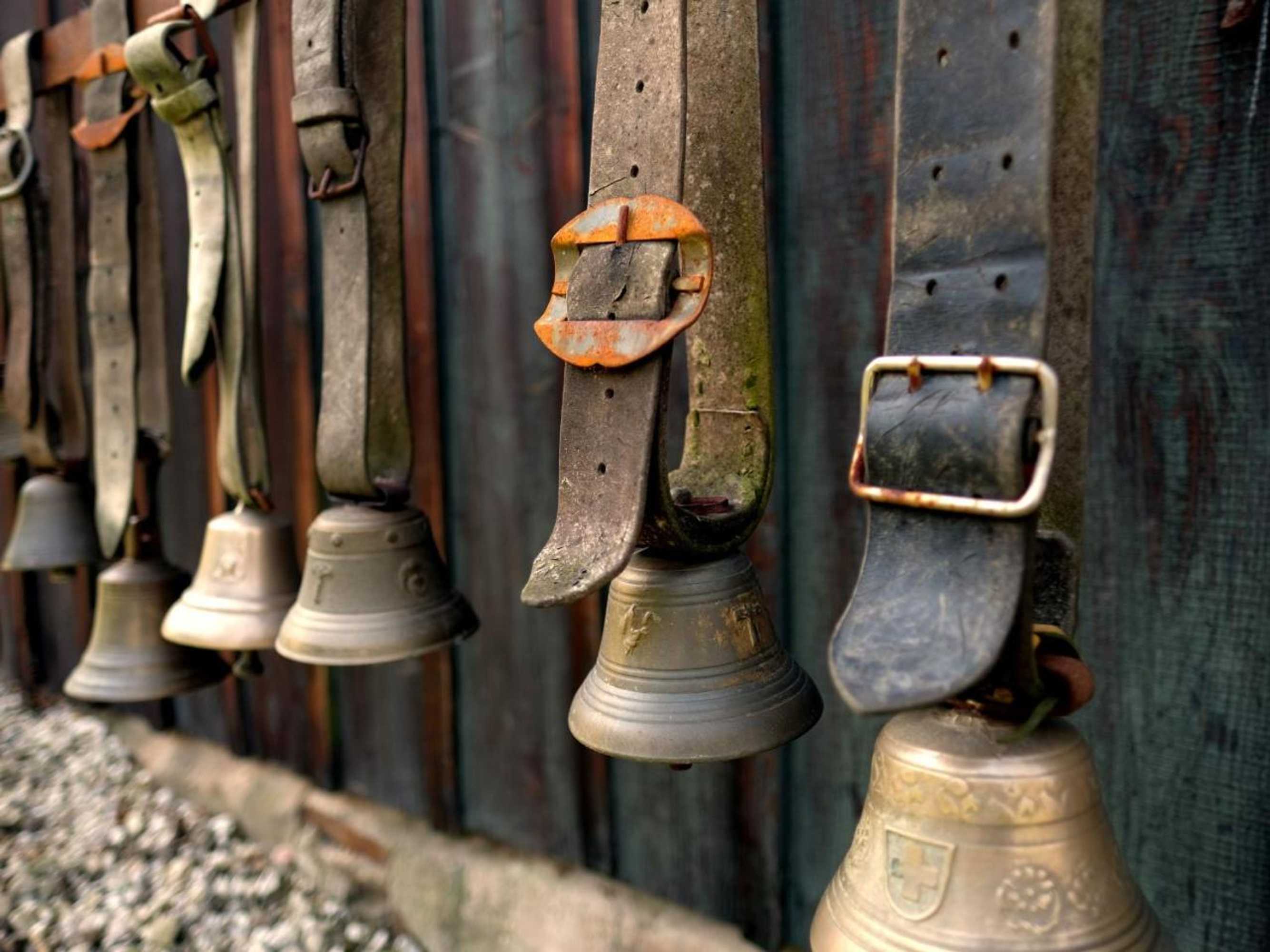 Gift card for Stöltings Landhaus