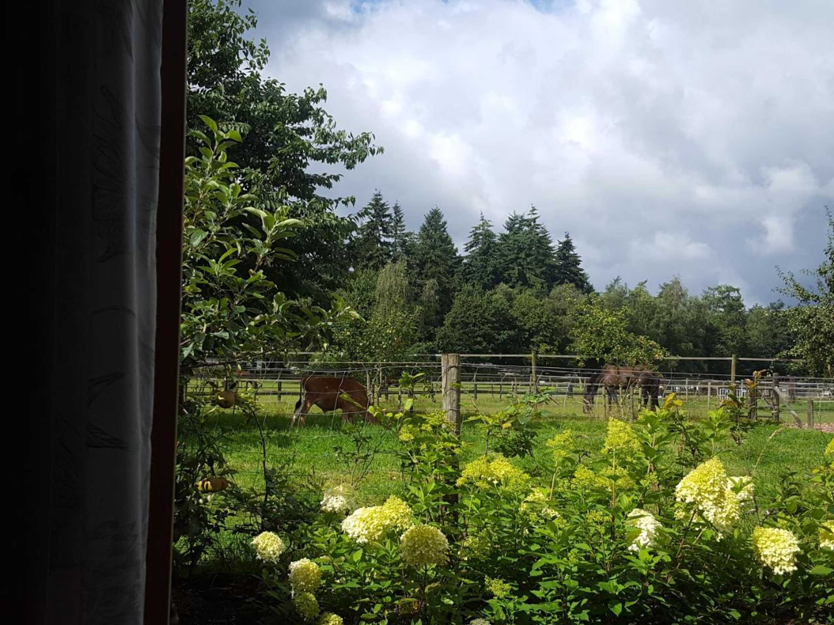 Gift card for De Priesnitzhoeve