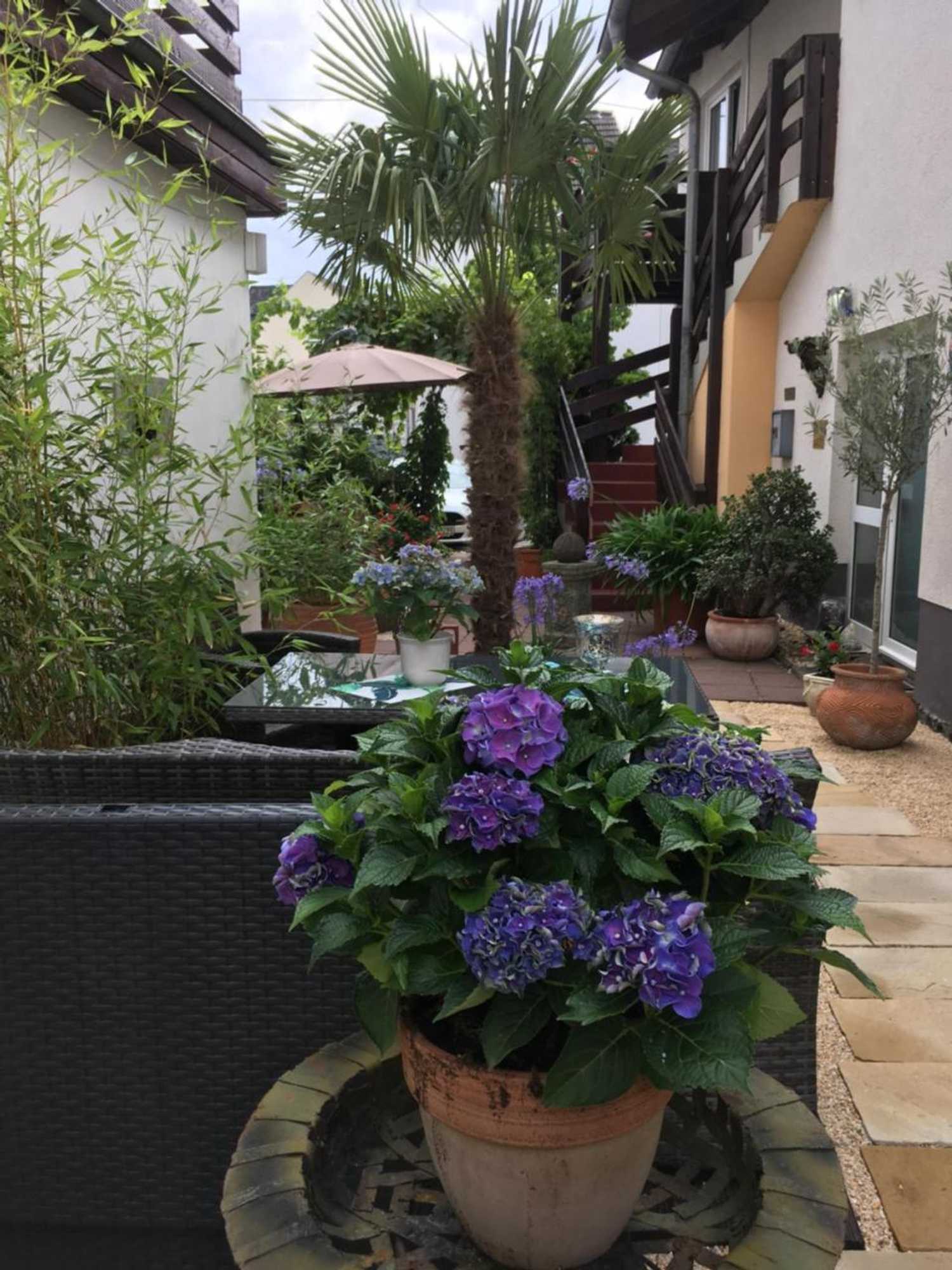 Gift card for Gaestehaus Klaus