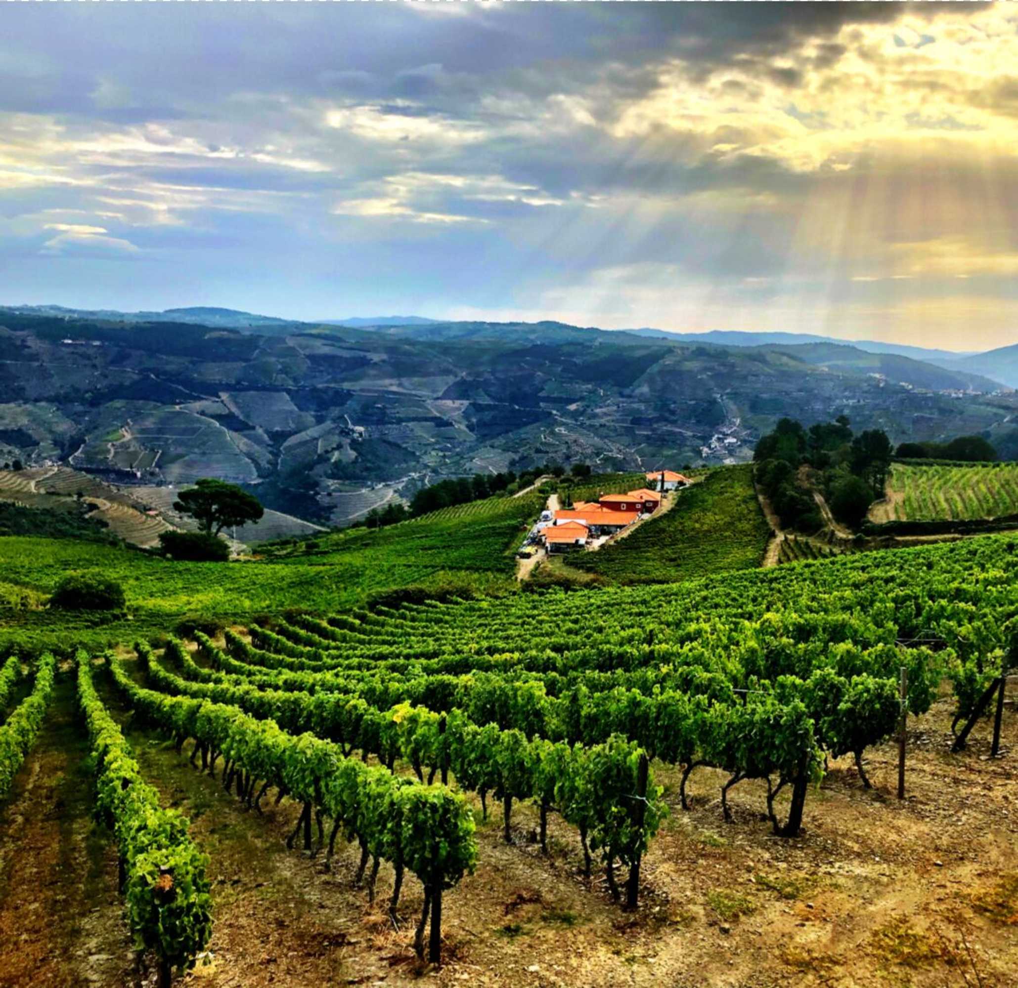 Gift card for Quinta Dos Espinheiros Gift card for Quinta Dos Espinheiros