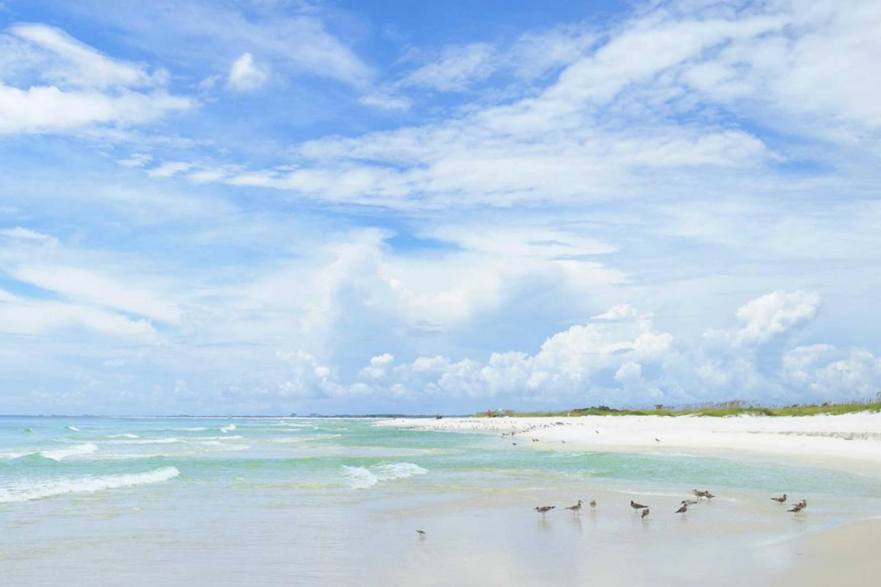 Gift card for Moreno Street Loft