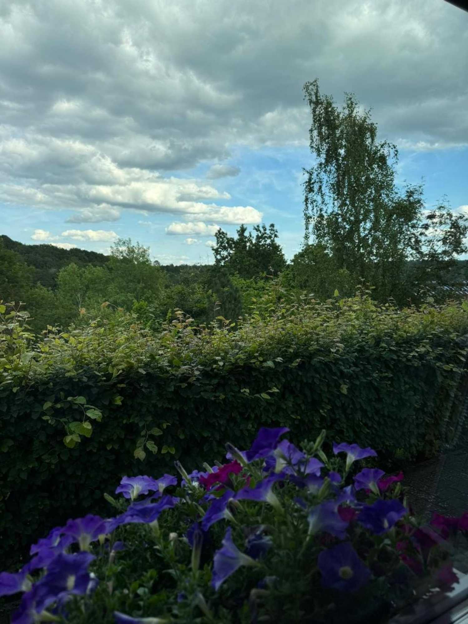 Gift card for Fewo in Monschau