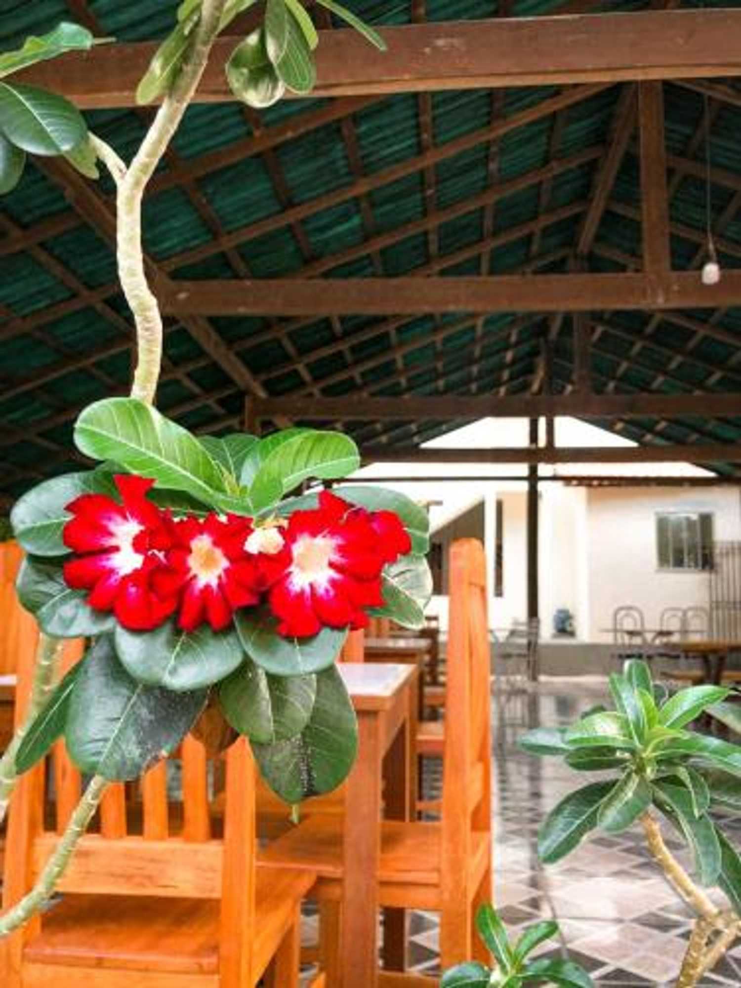 Gift card for Pousada Sitio Preguicas Gift card for Pousada Sitio Preguicas