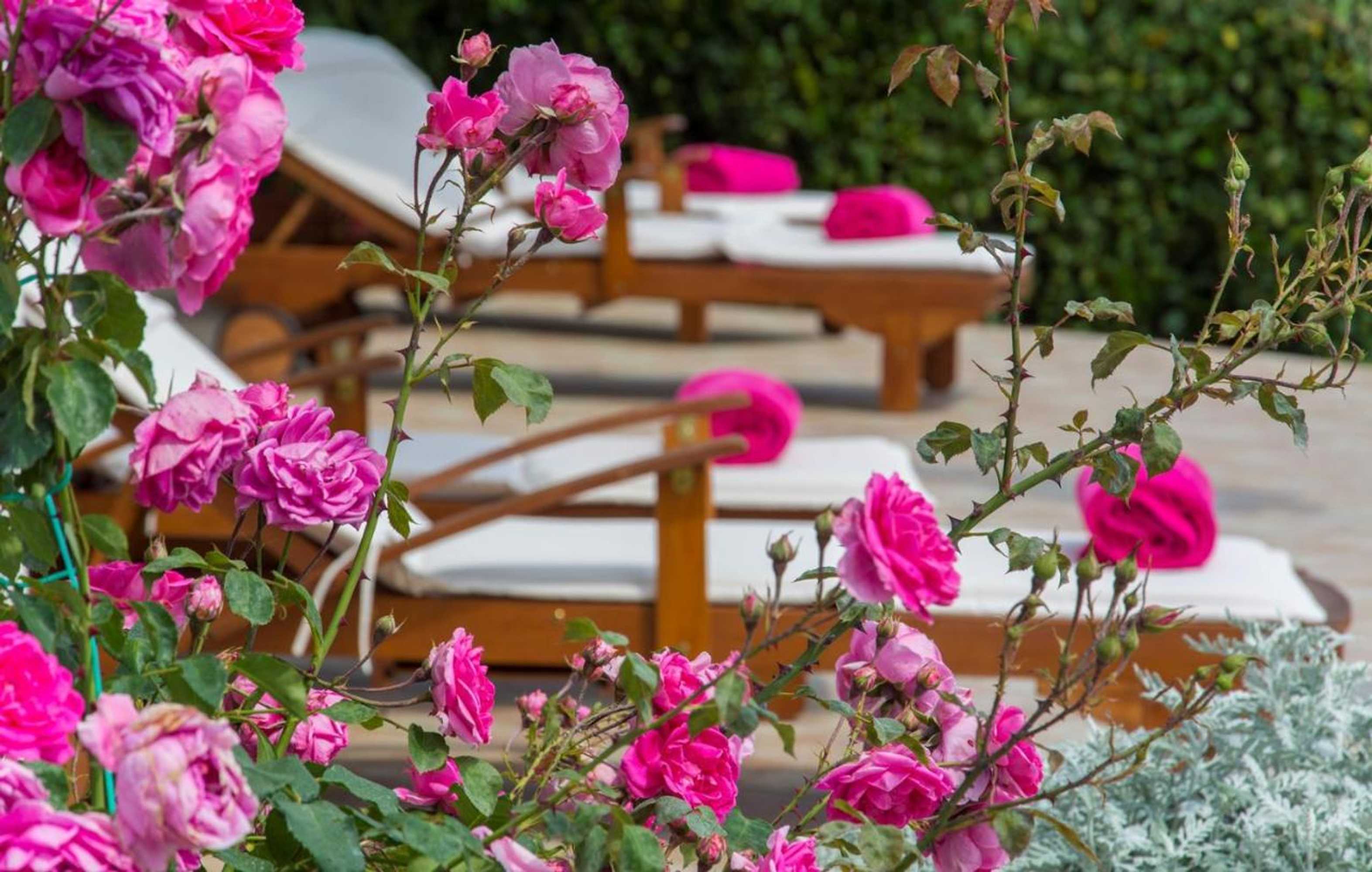 Gift card for Villa Rosa