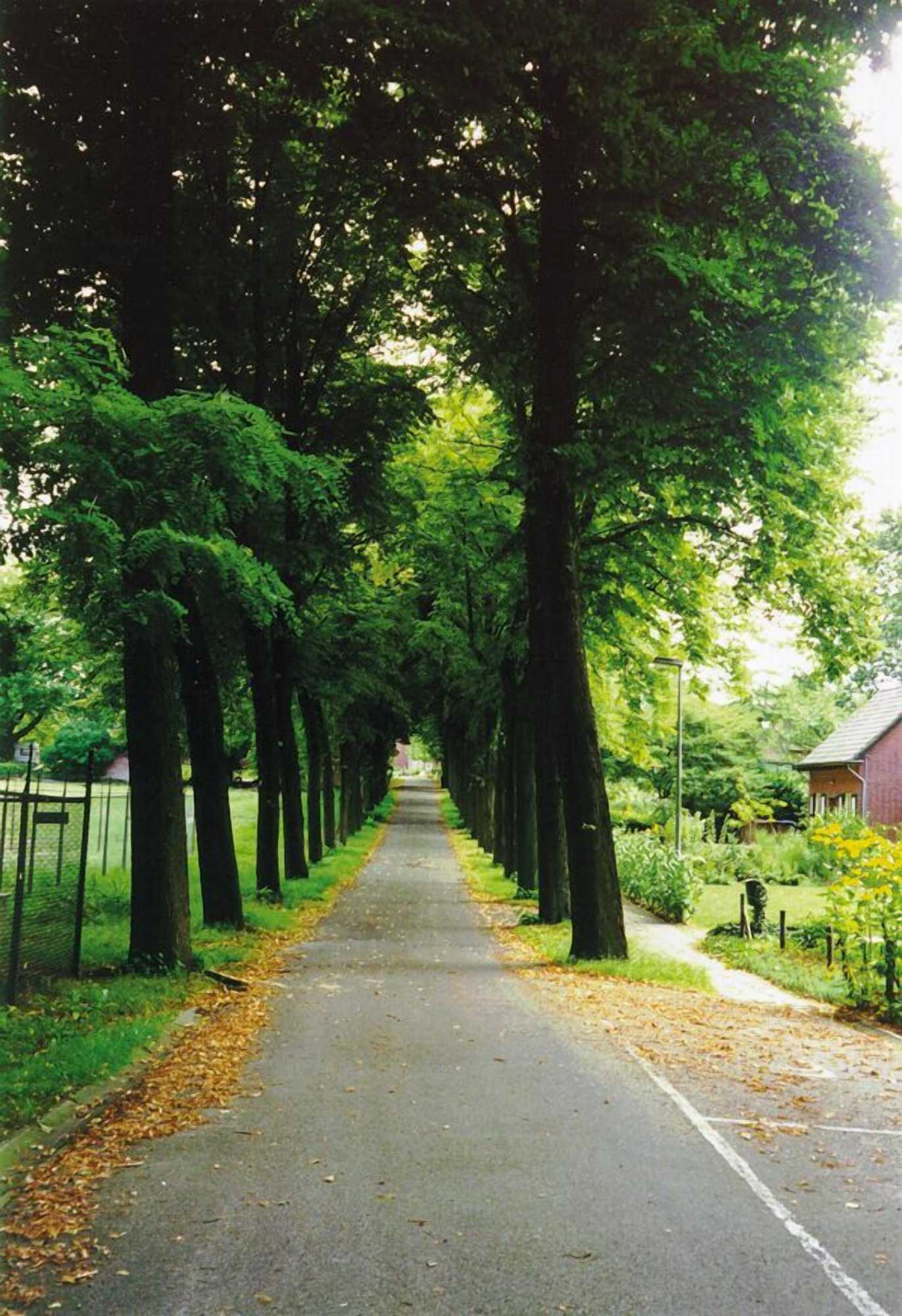 Gift card for Hotel Dekkers