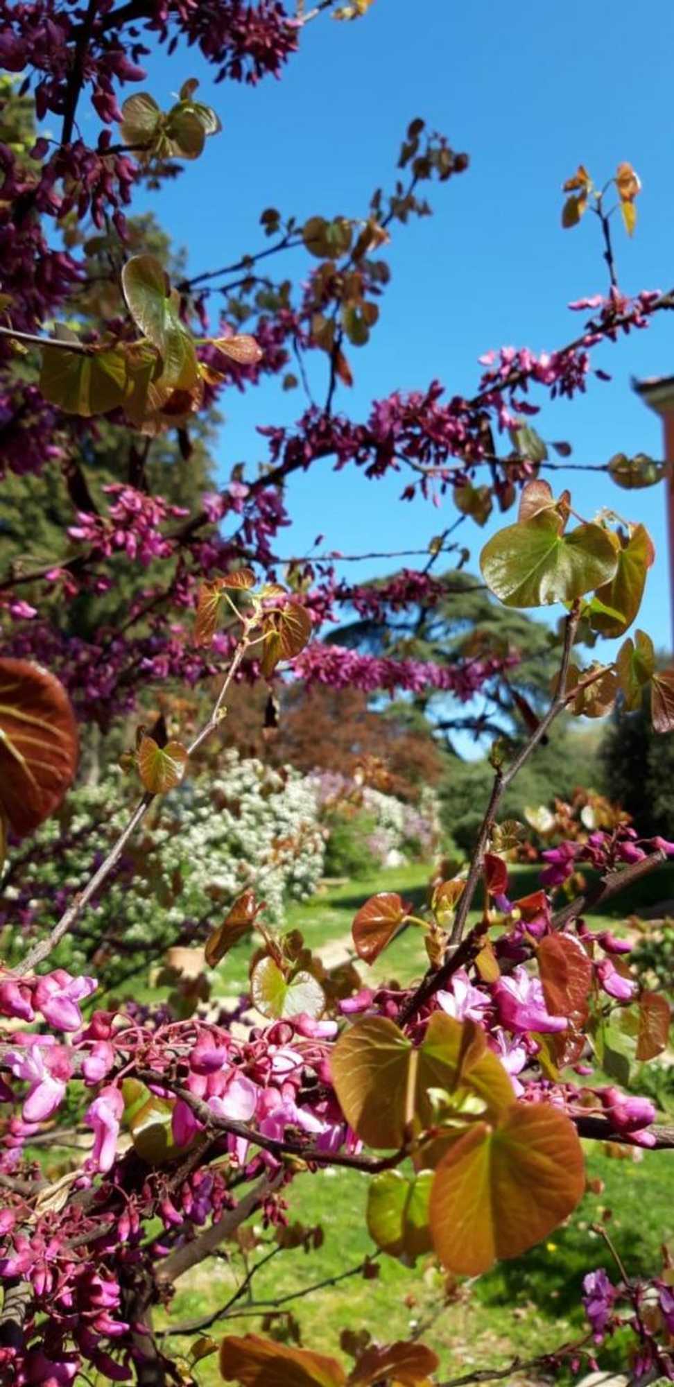 Gift card for Locanda Donna Laura