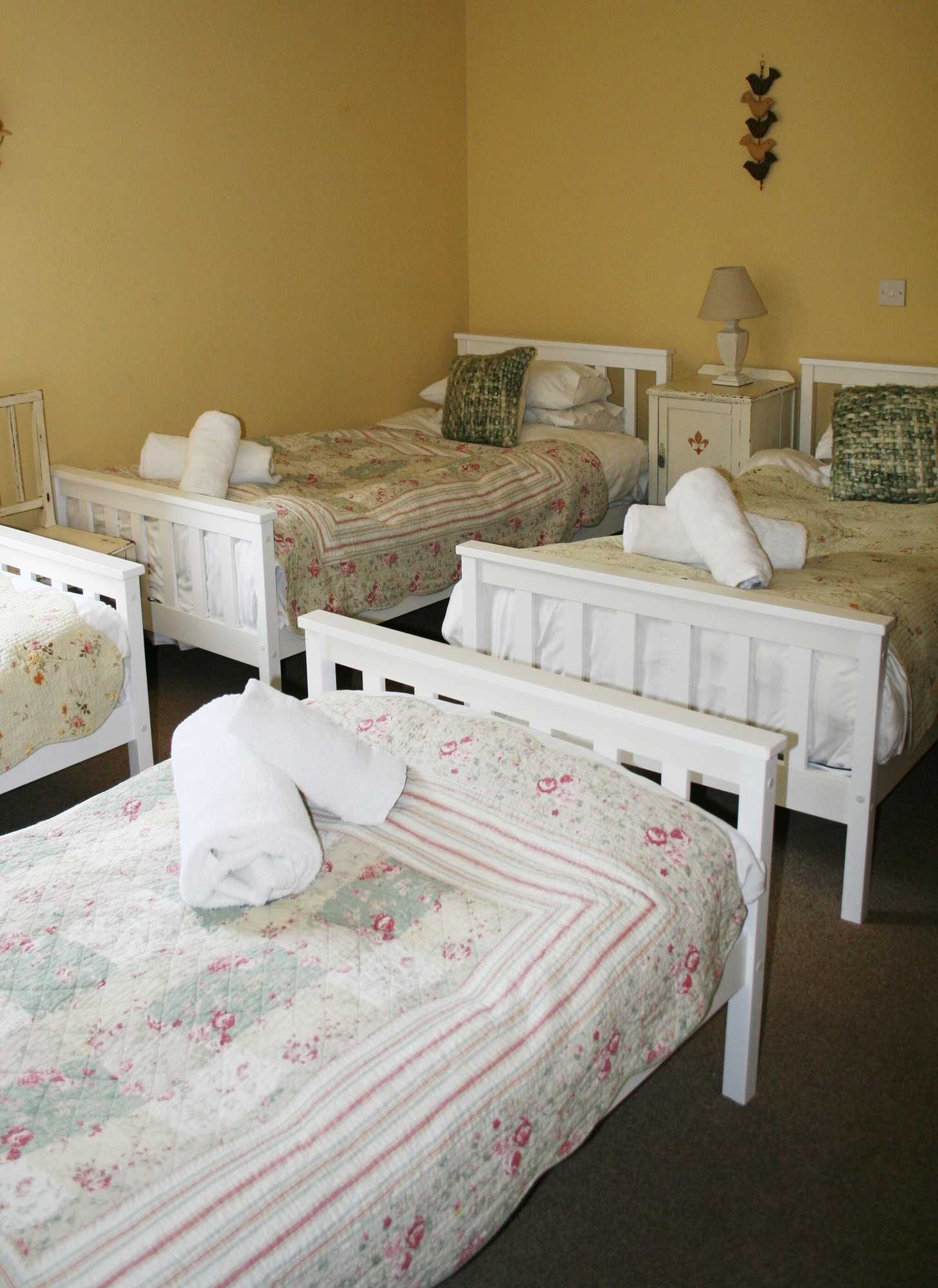 Gift card for Broccoli Bottom