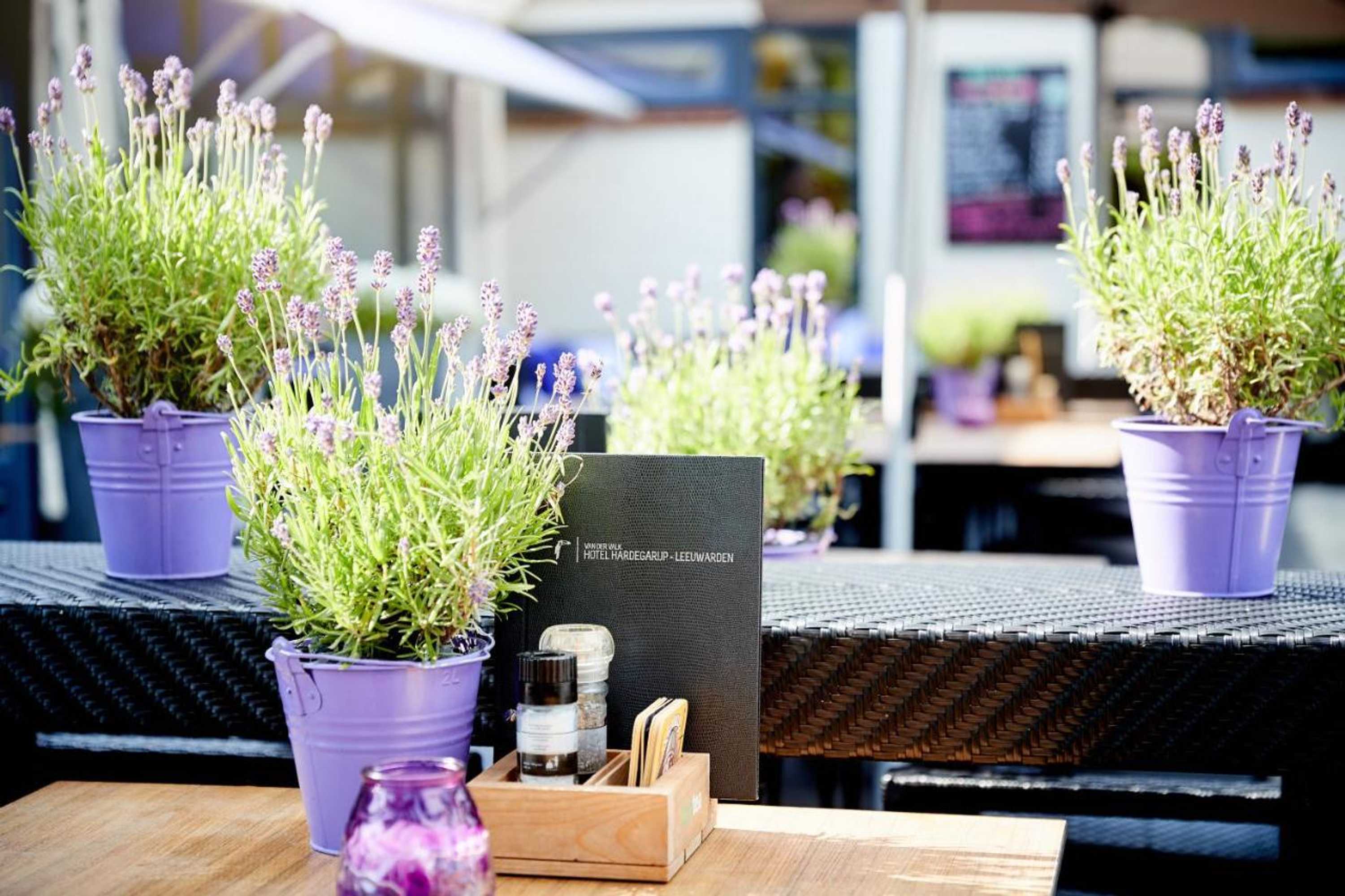 Gift card for Van Der Valk Hotel Hardegarijp - Leeuwarden