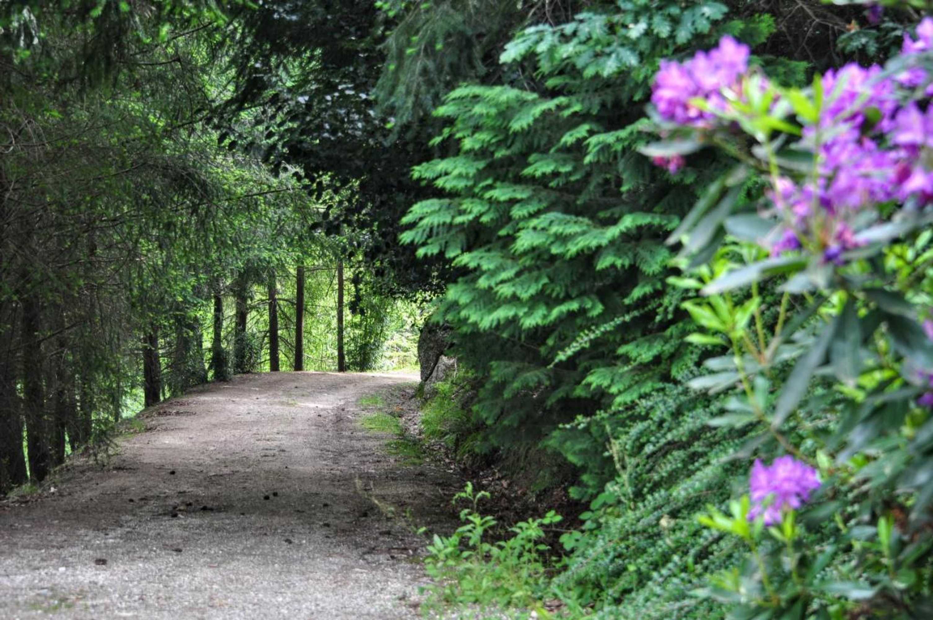 Gift card for Secret do Gerês