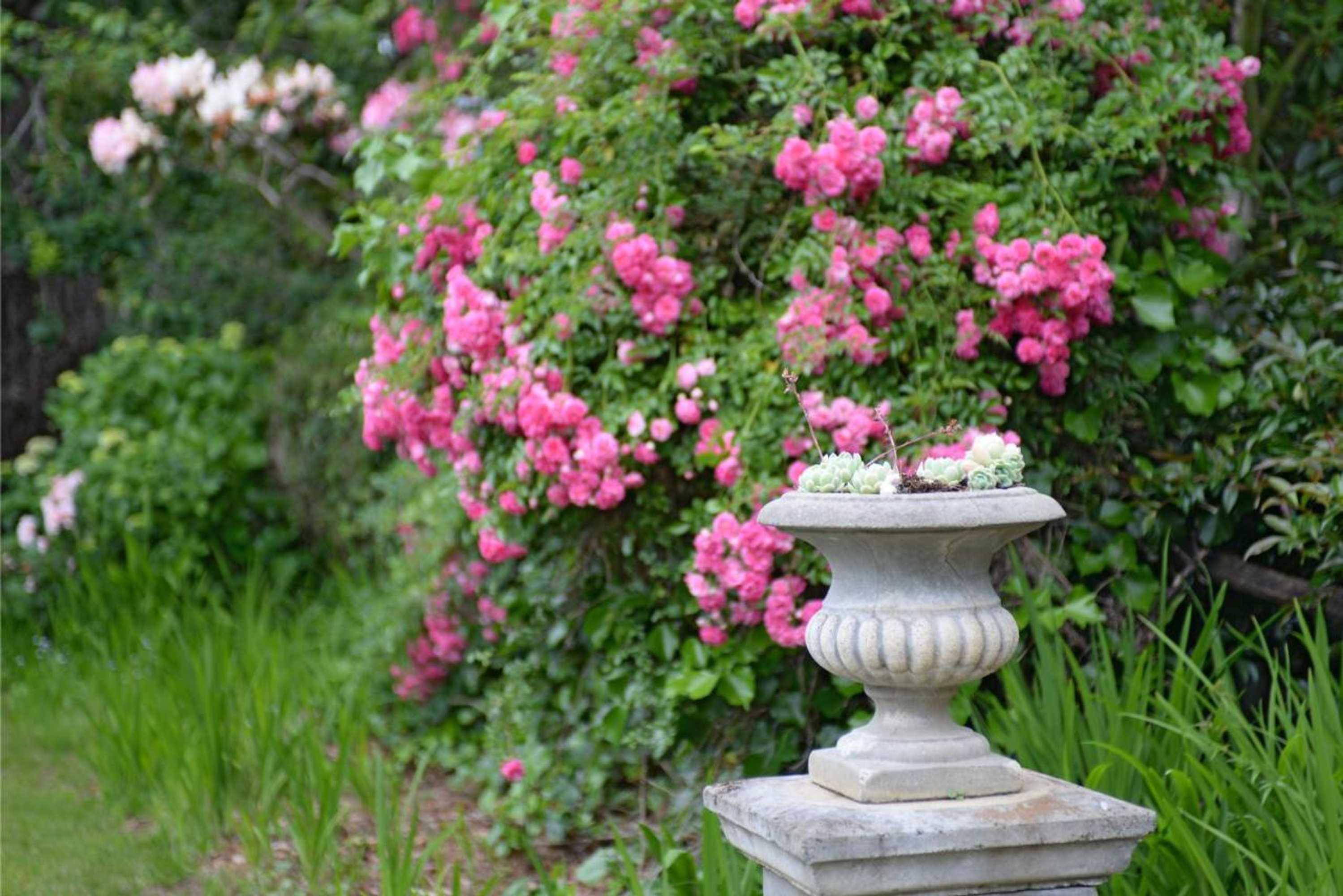 Gift card for Poets Cottage Fireplace Spa Bath Scenic Treks Pet Friendly