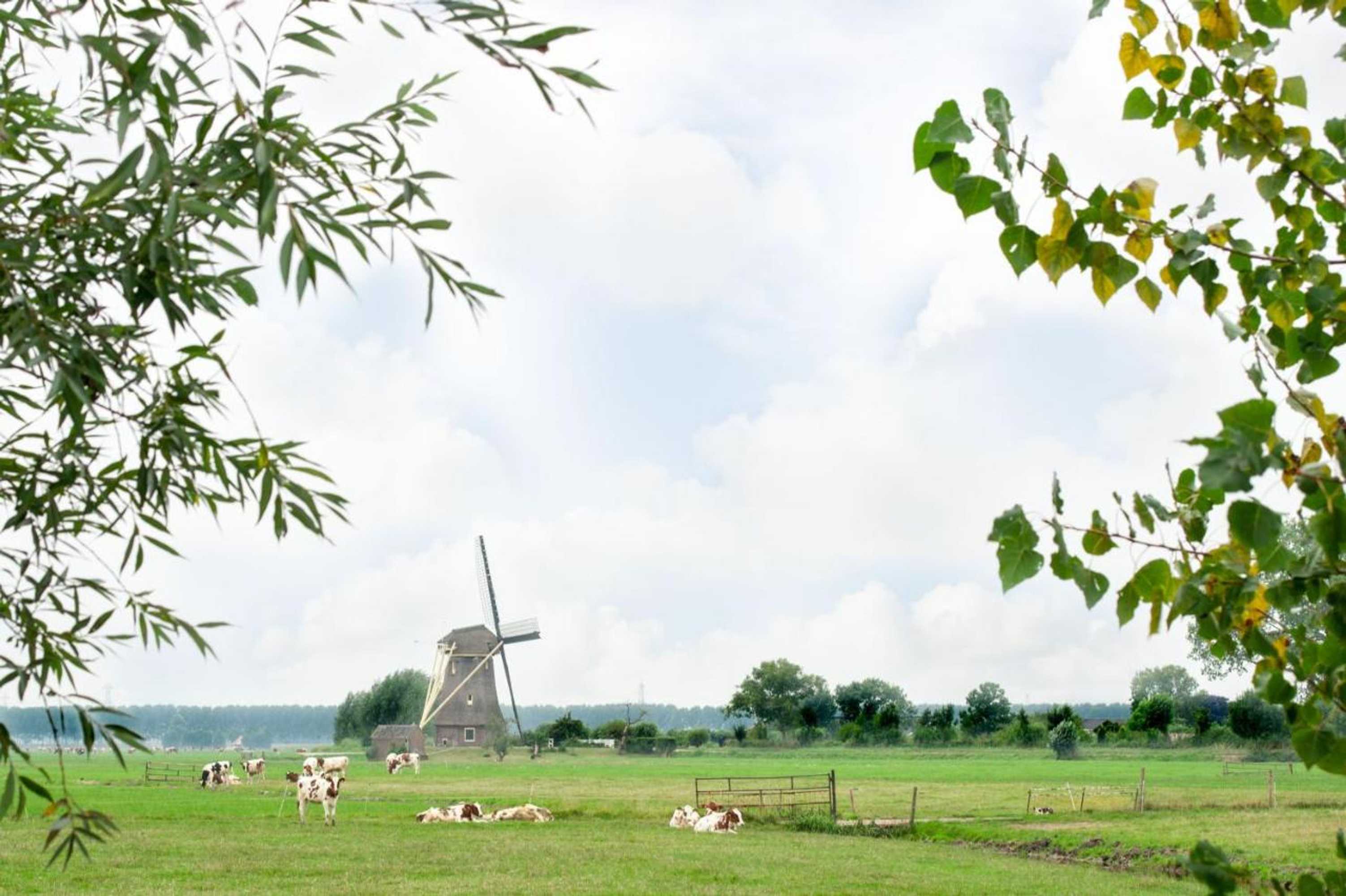 Gift card for De Willigen Logies