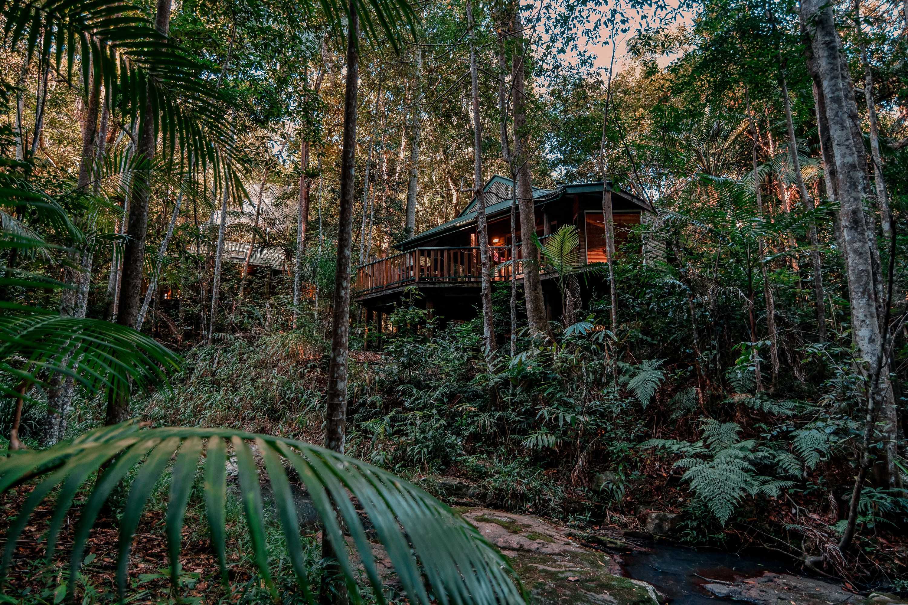 Gift card for Narrows Escape Rainforest Retreat Gift card for Narrows Escape Rainforest Retreat