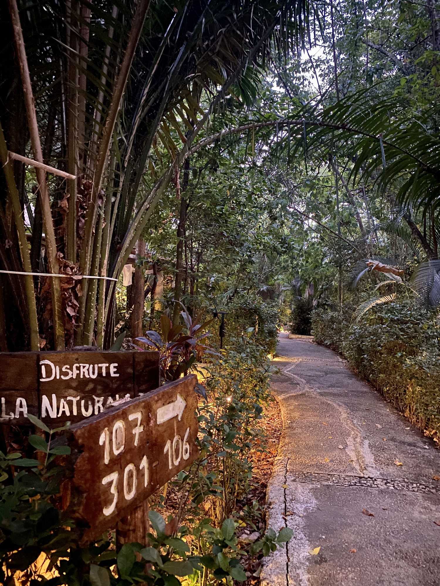 Gift card for Piedra de Agua Hotel Boutique Palenque Gift card for Piedra de Agua Hotel Boutique Palenque