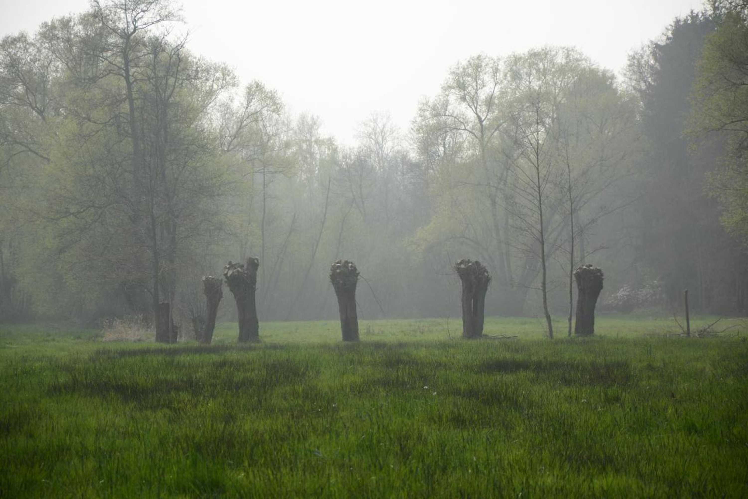 Gift card for Beeltjens B&b: Wolf&belle