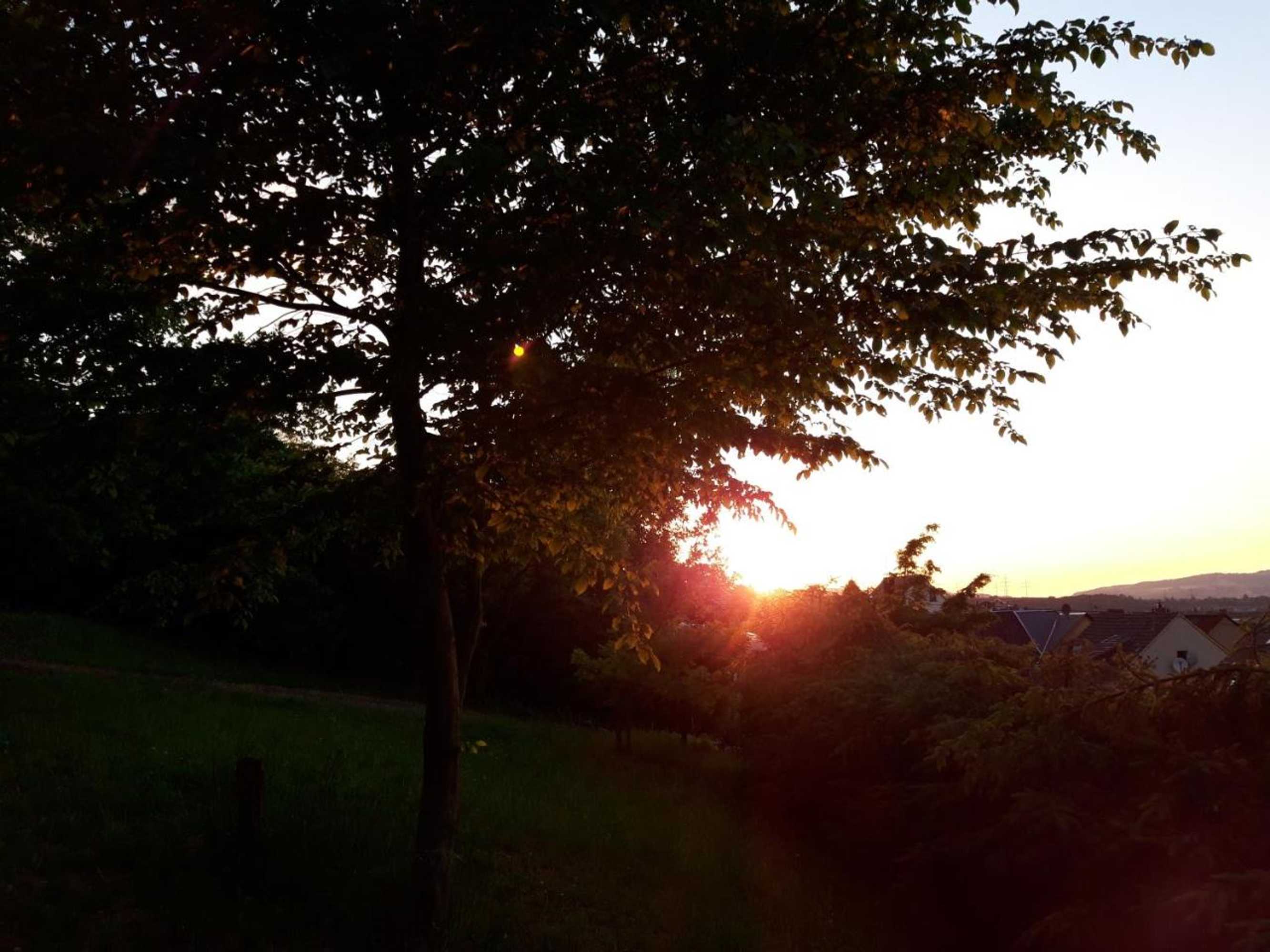 Gift card for Bengel's Hotel Zur Krone