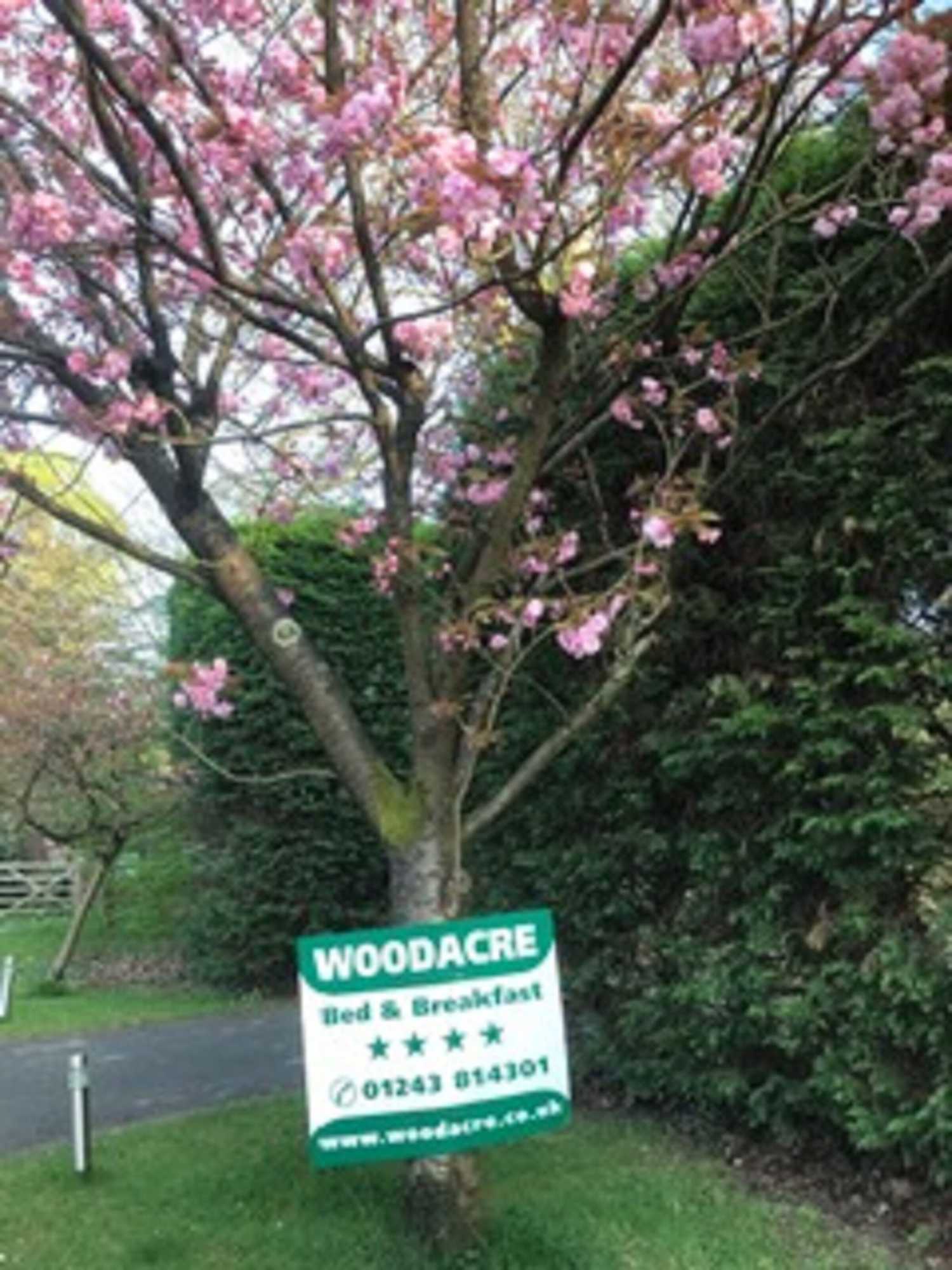 Gift card for Woodacre B&b Gift card for Woodacre B&b