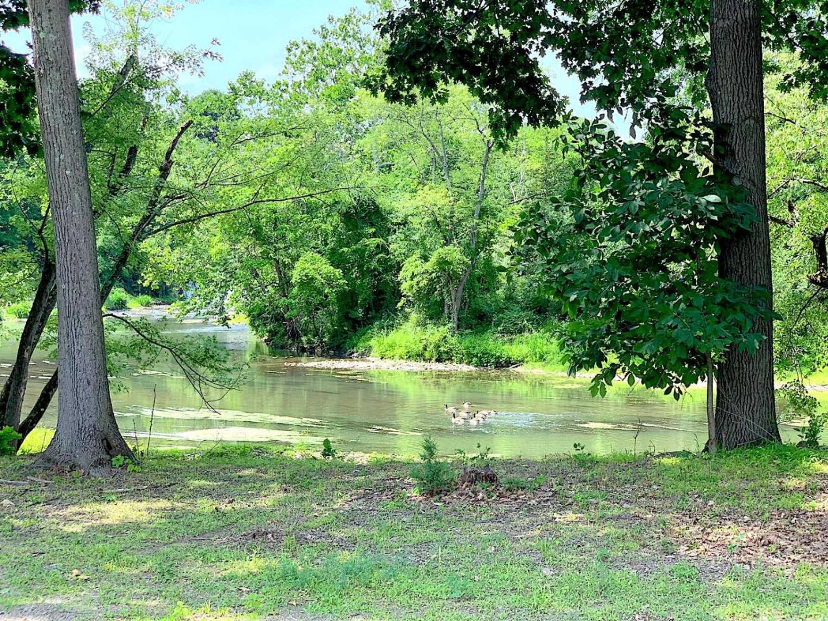 Gift card for Micosta Leisure Inn